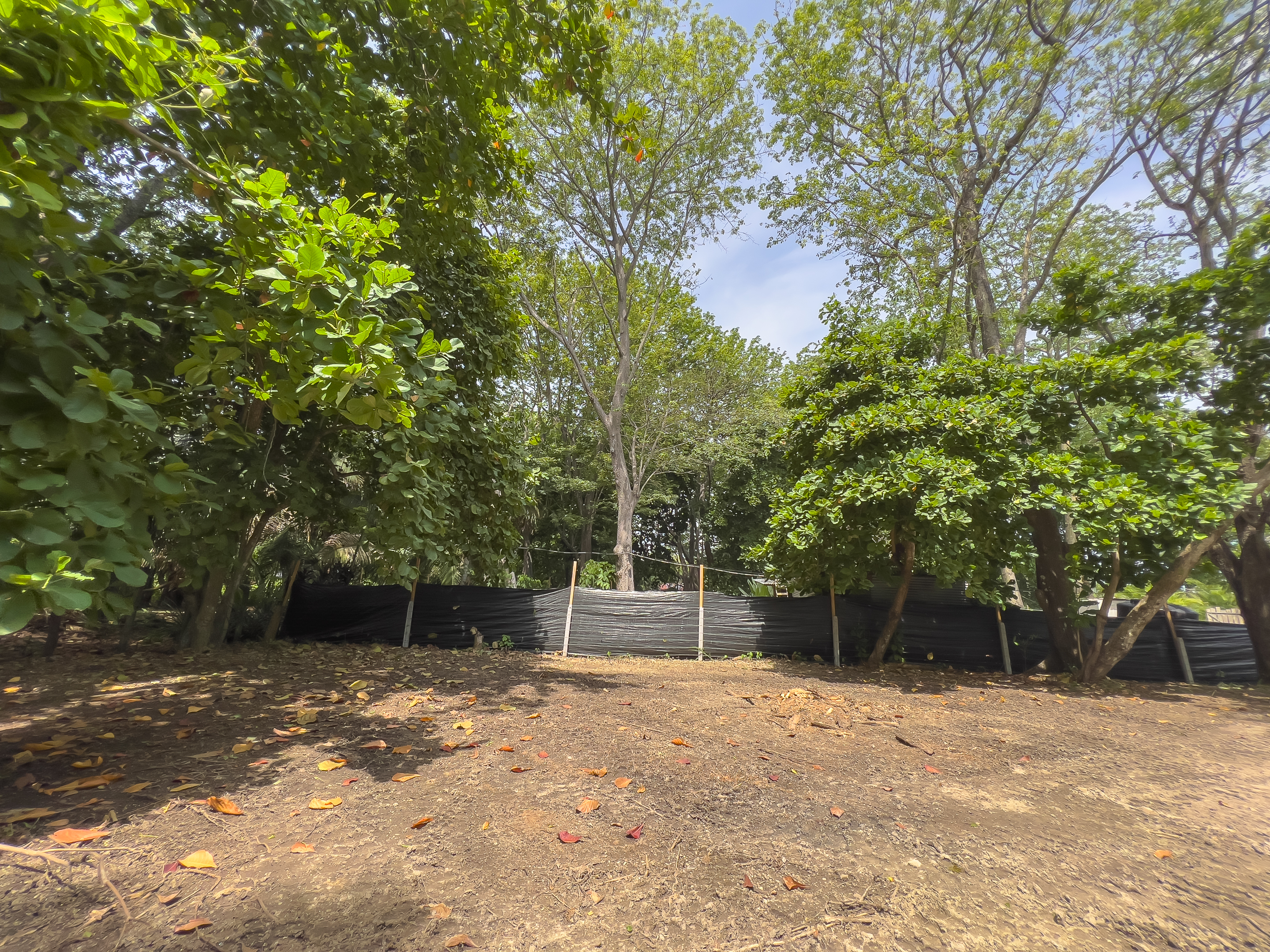 0 bed Land For Sale in Santa Teresa, Puntarenas - thumb 4