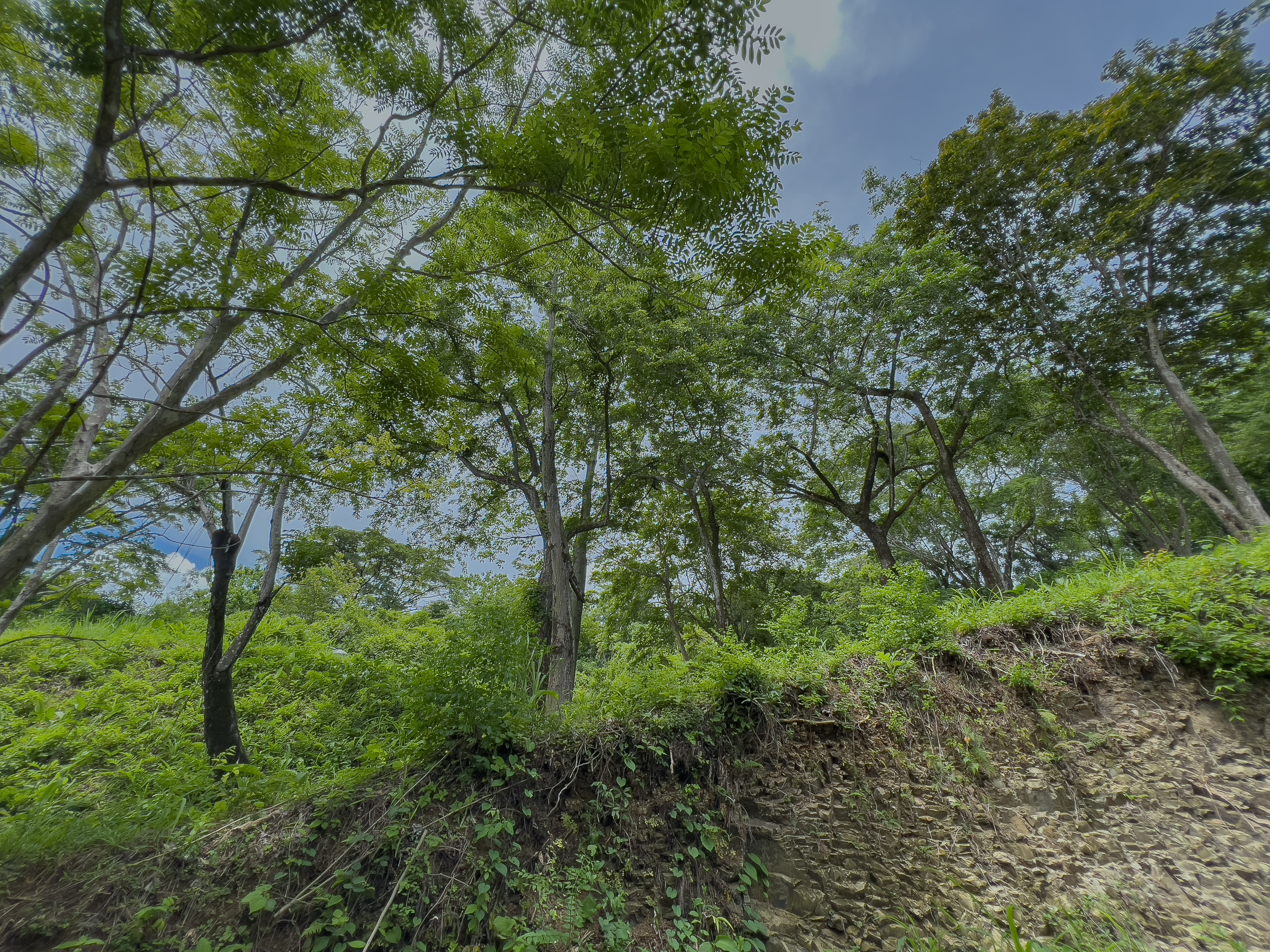 0 bed Land For Sale in Malpais, Puntarenas - thumb 5