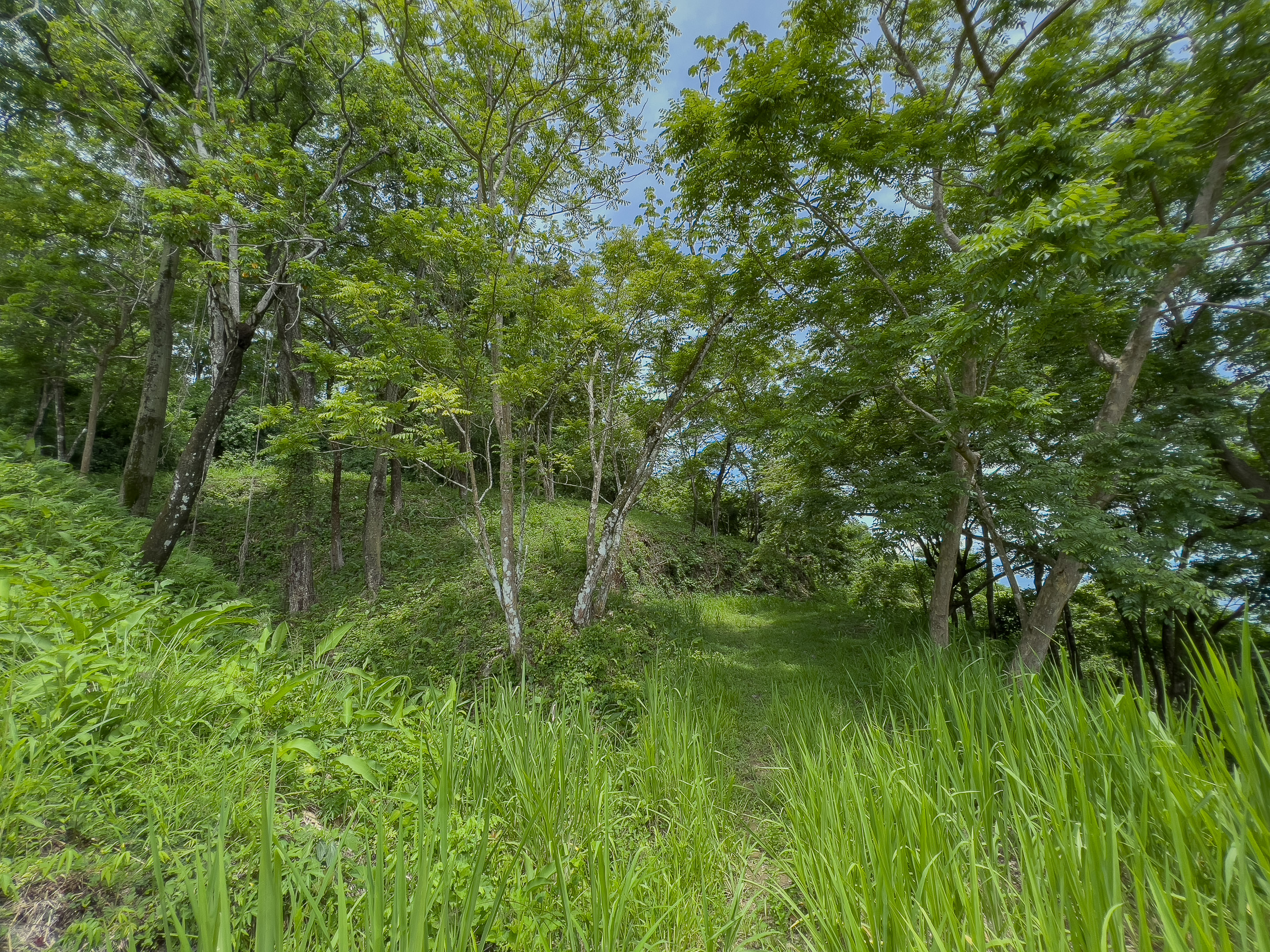 0 bed Land For Sale in Malpais, Puntarenas - thumb 2