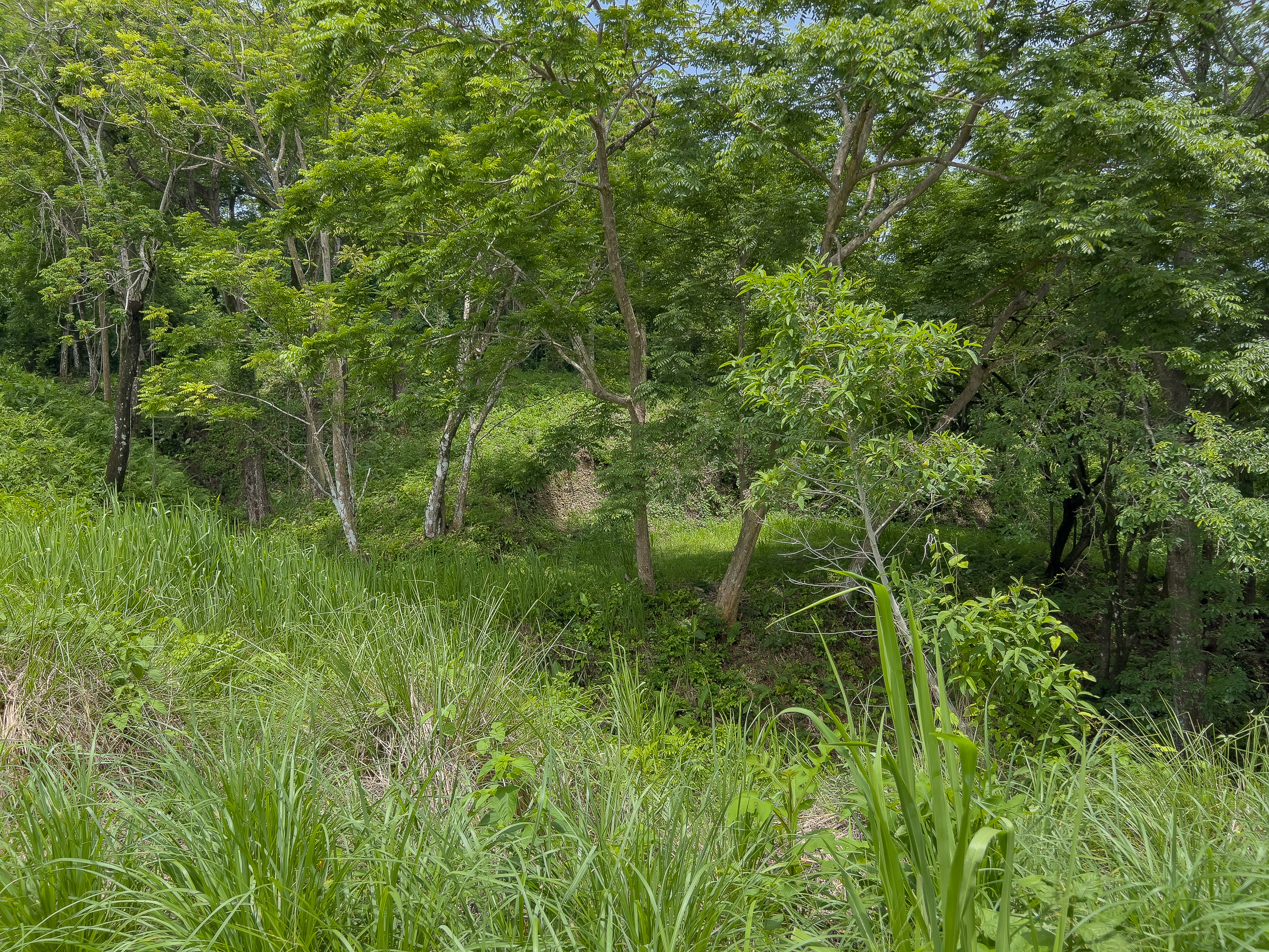 0 bed Land For Sale in Malpais, Puntarenas - thumb 4