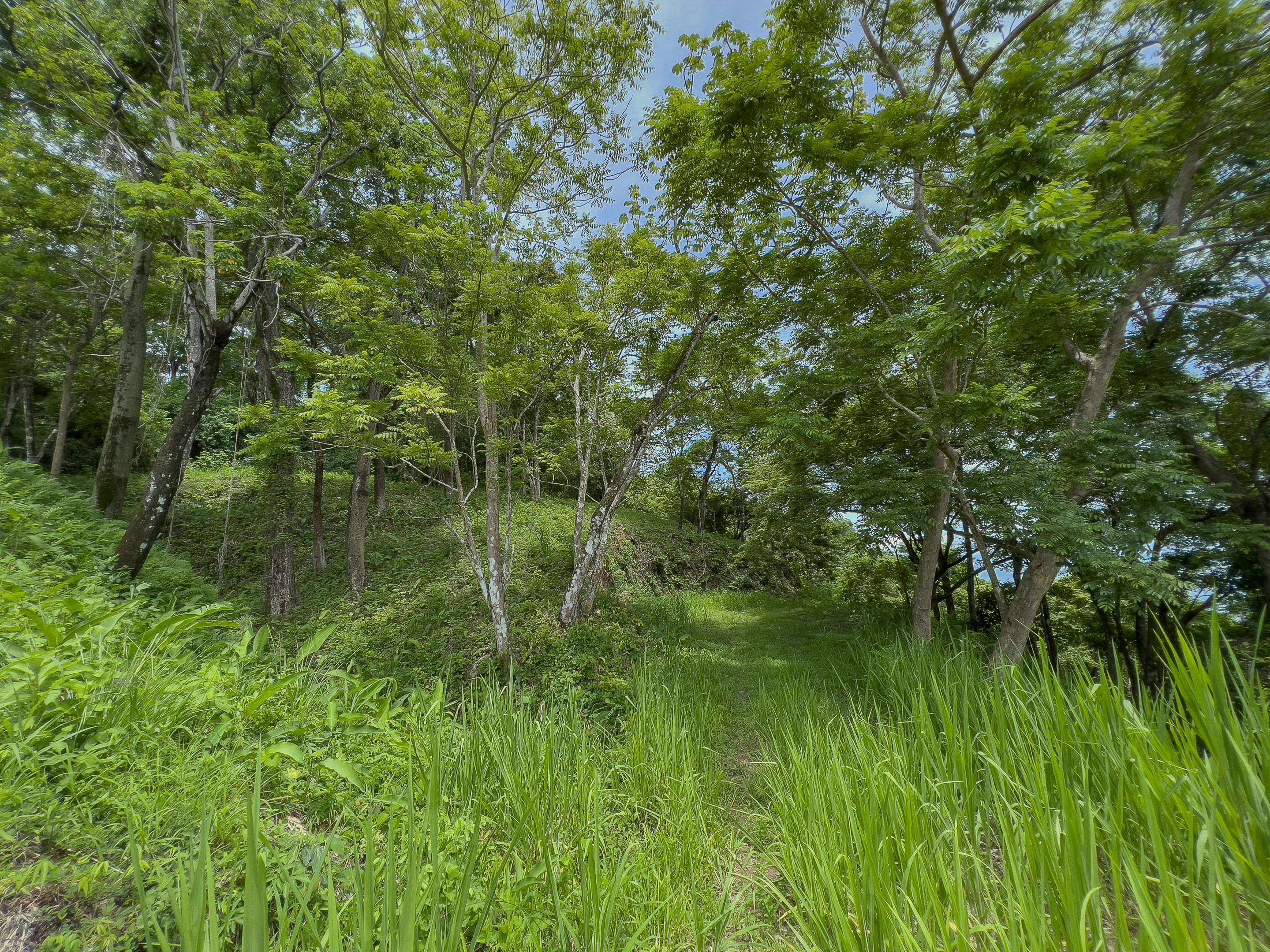 0 bed Land For Sale in Malpais, Puntarenas - thumb 6