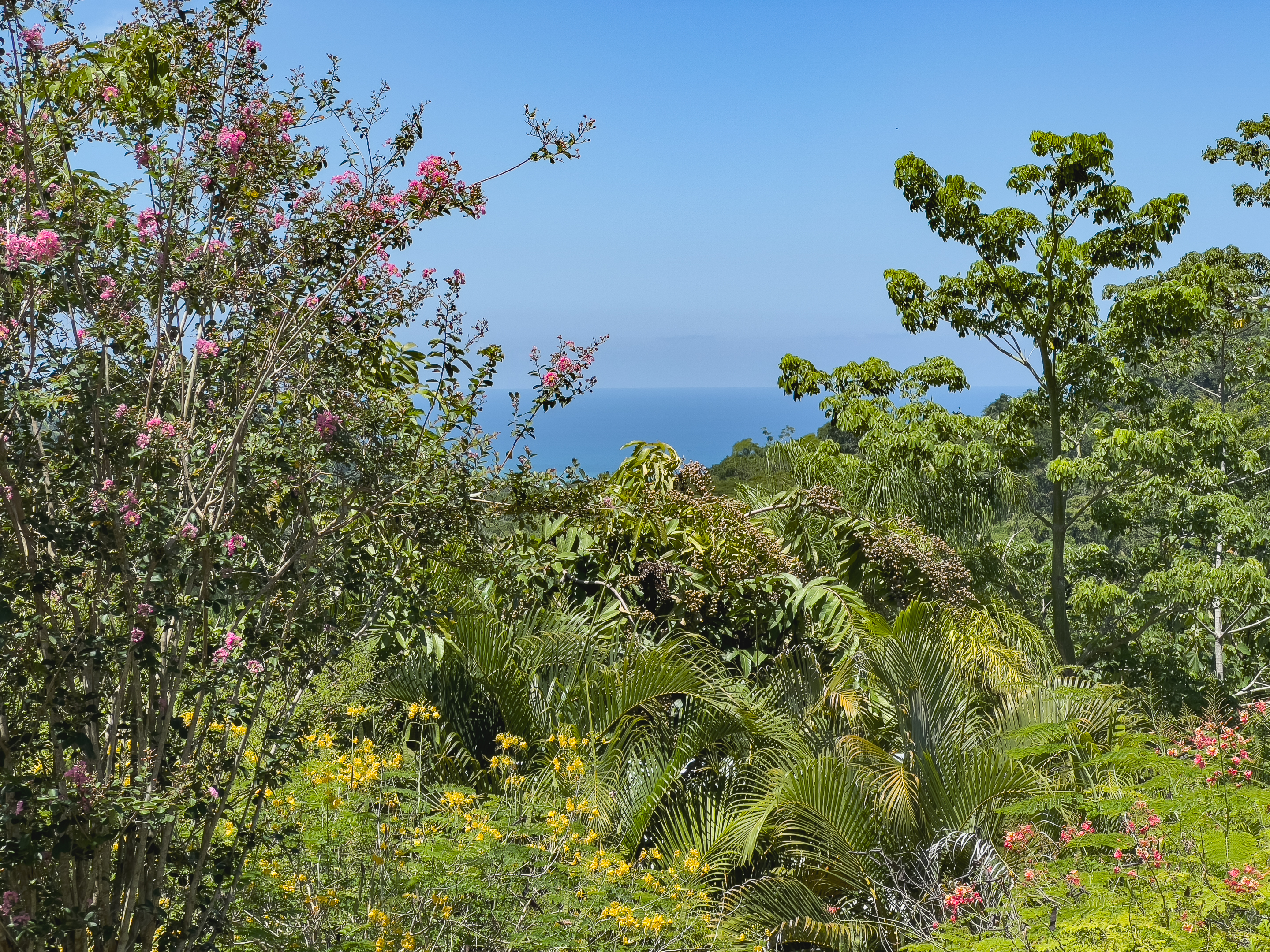 5 bed Single Family Homes For Sale in Santa Teresa, Puntarenas - thumb 26