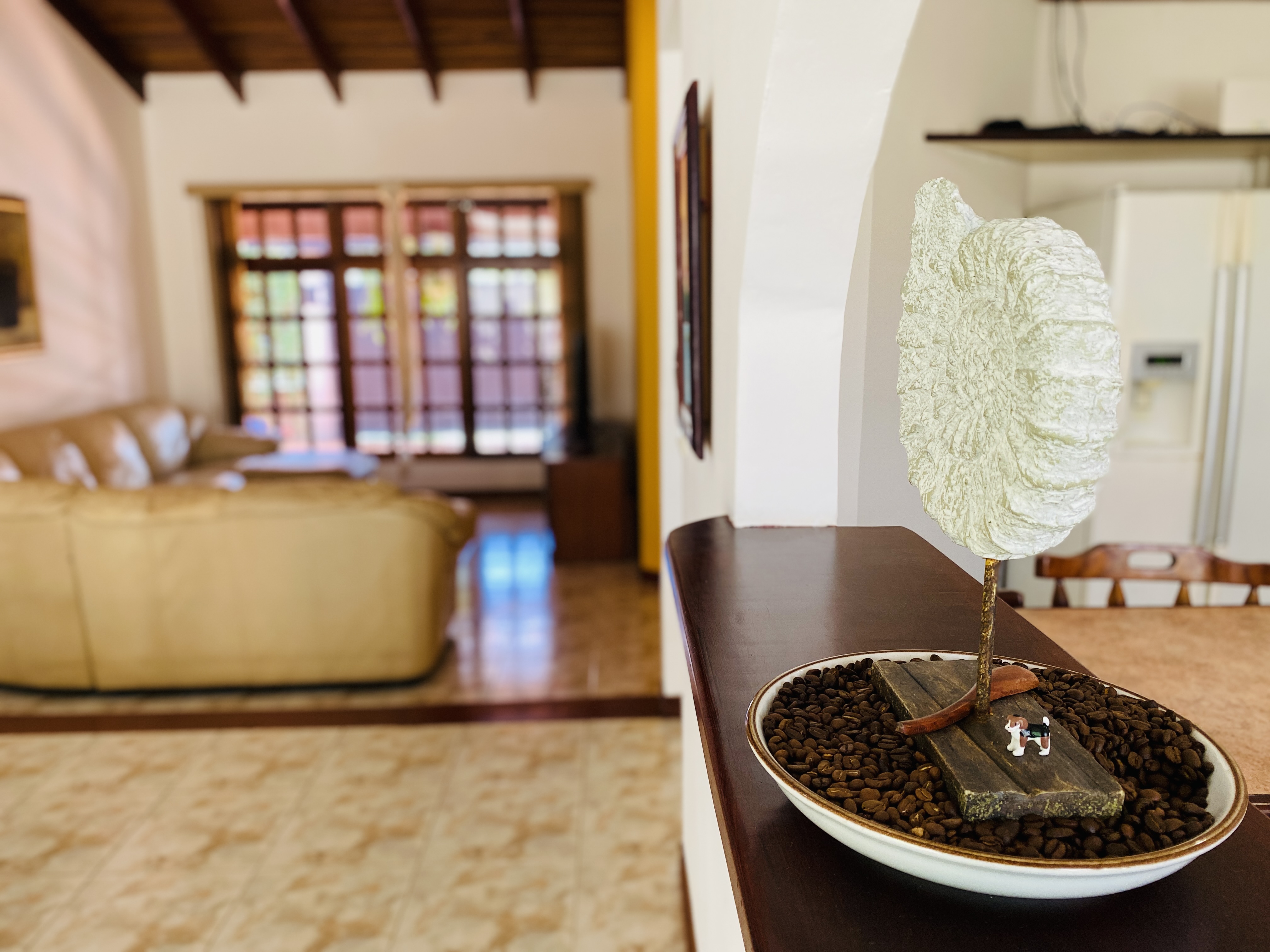 4 bed Single Family Homes For Sale in Santo Domingo, Heredia - thumb 10