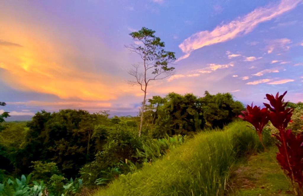 4 bed Single Family Homes For Sale in Santa Teresa, Puntarenas - thumb 4