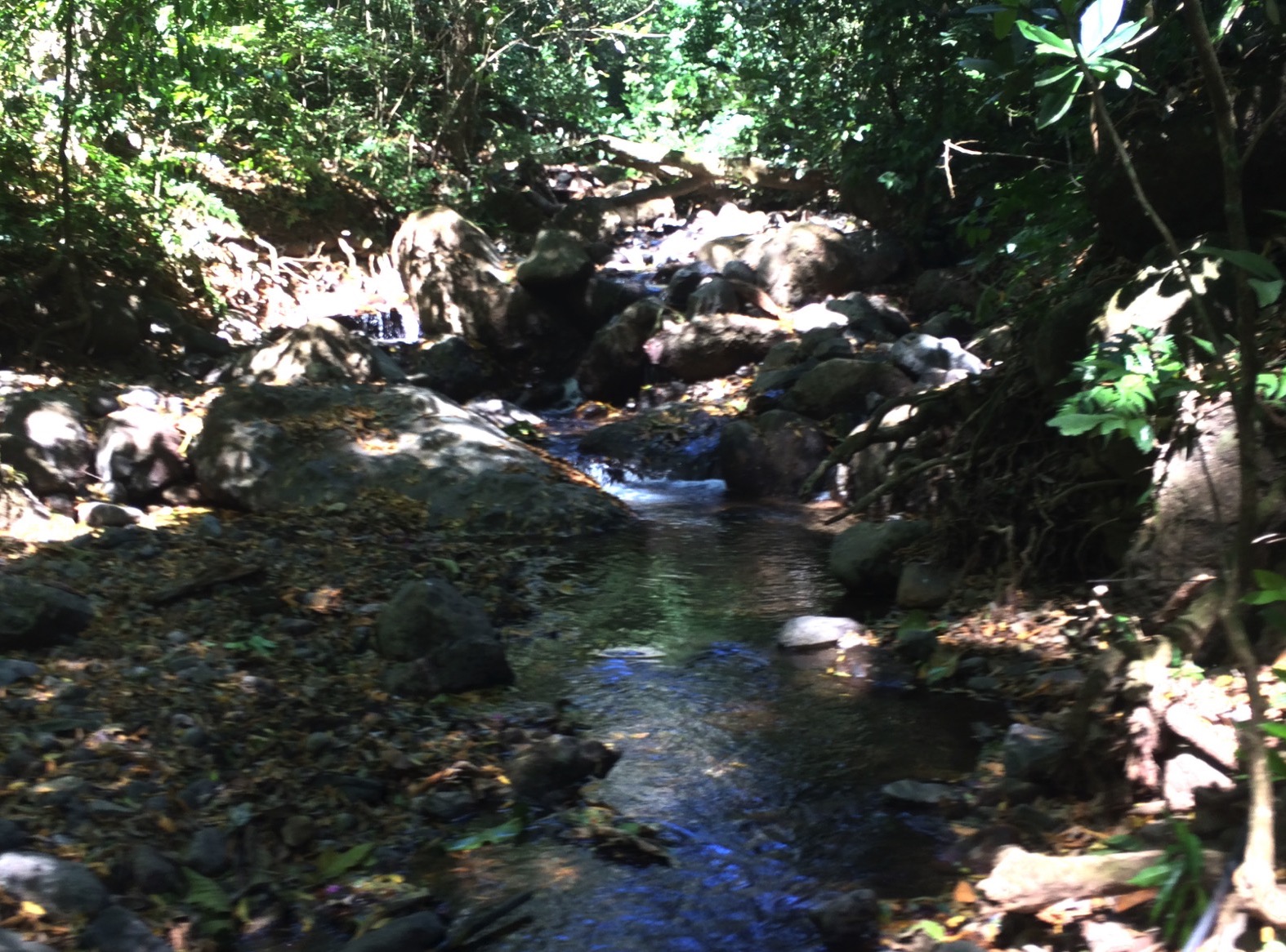 0 bed Land For Sale in Atenas, Alajuela - thumb 3