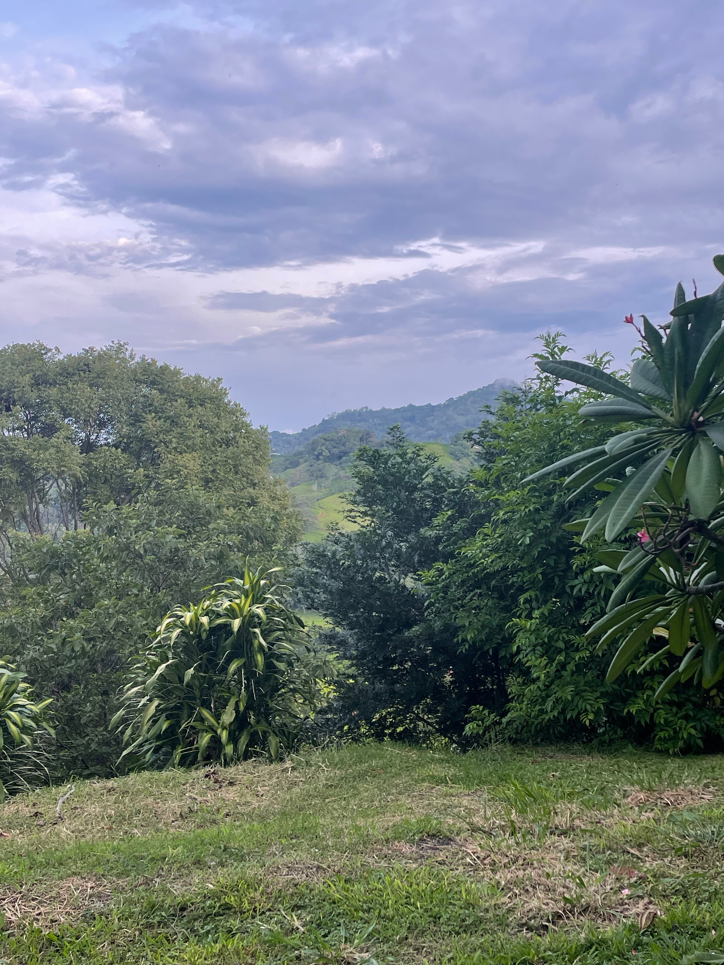 0 bed Land For Sale in Atenas, Alajuela - thumb 1