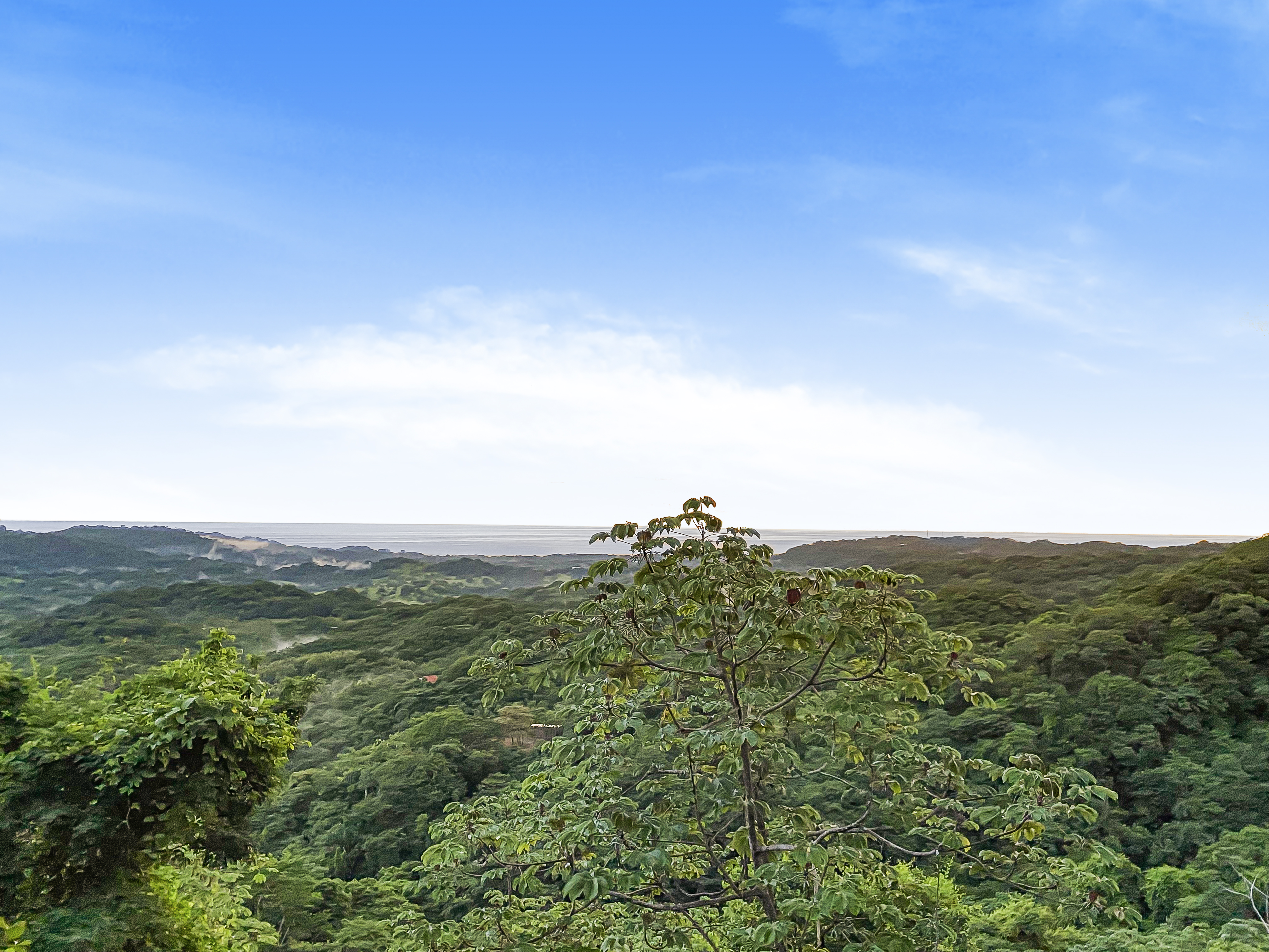 0 bed Land For Sale in Nosara, Guanacaste - thumb 2