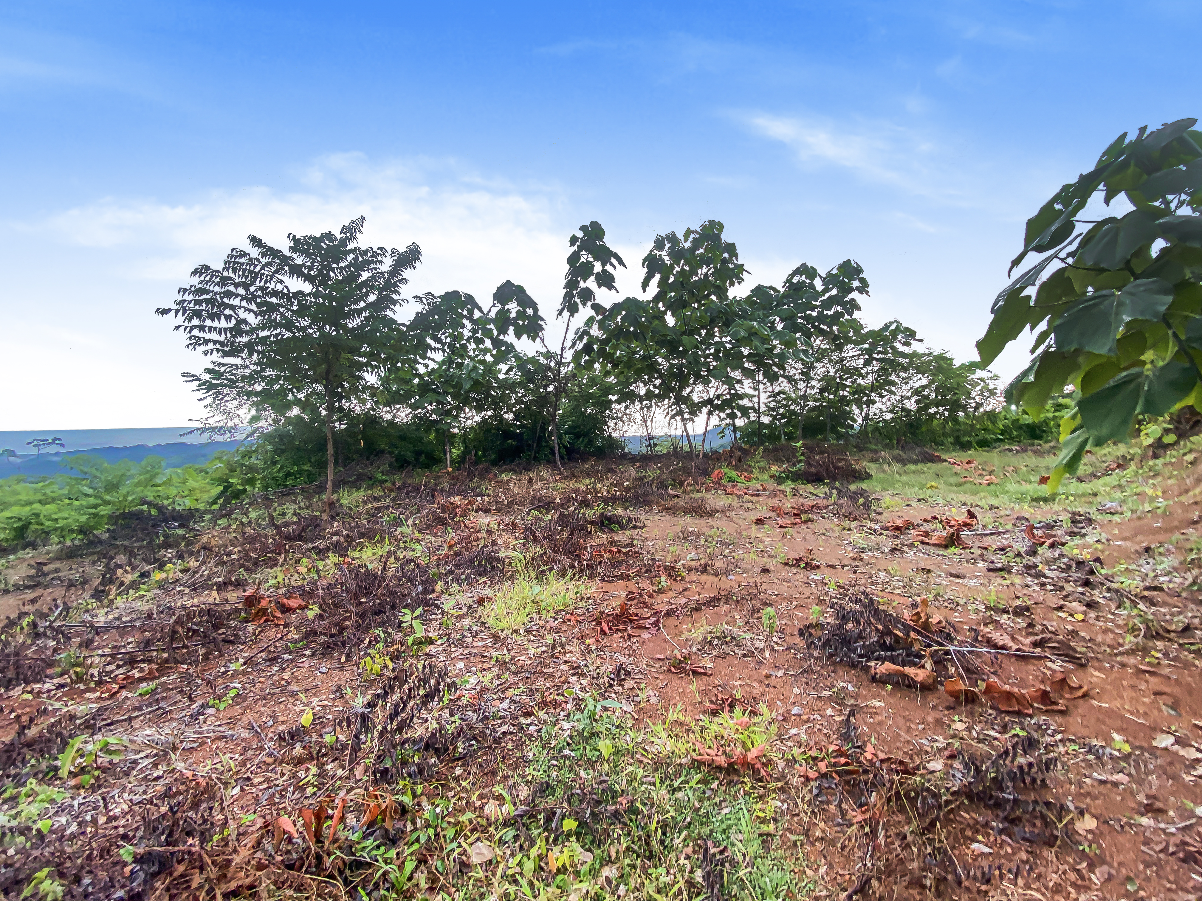 0 bed Land For Sale in Nosara, Guanacaste - thumb 5