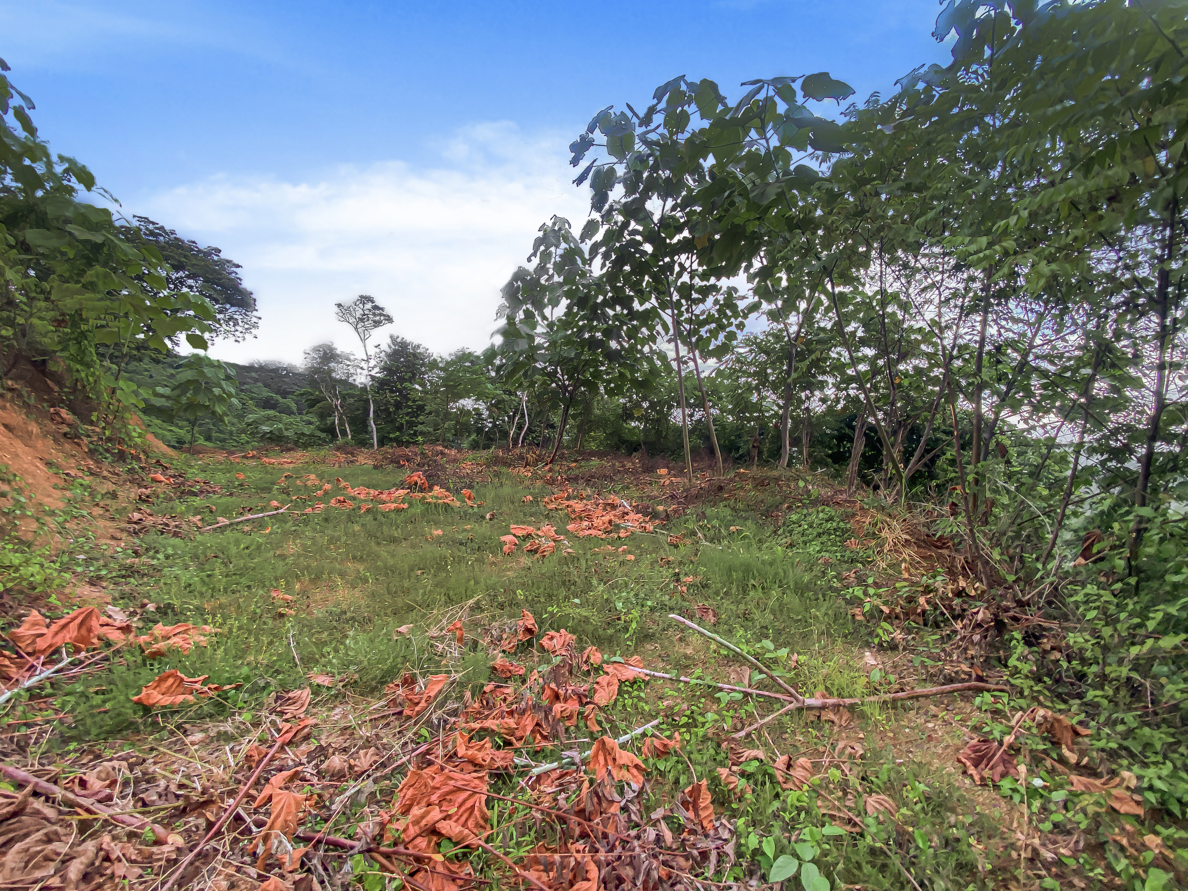 0 bed Land For Sale in Nosara, Guanacaste - thumb 4