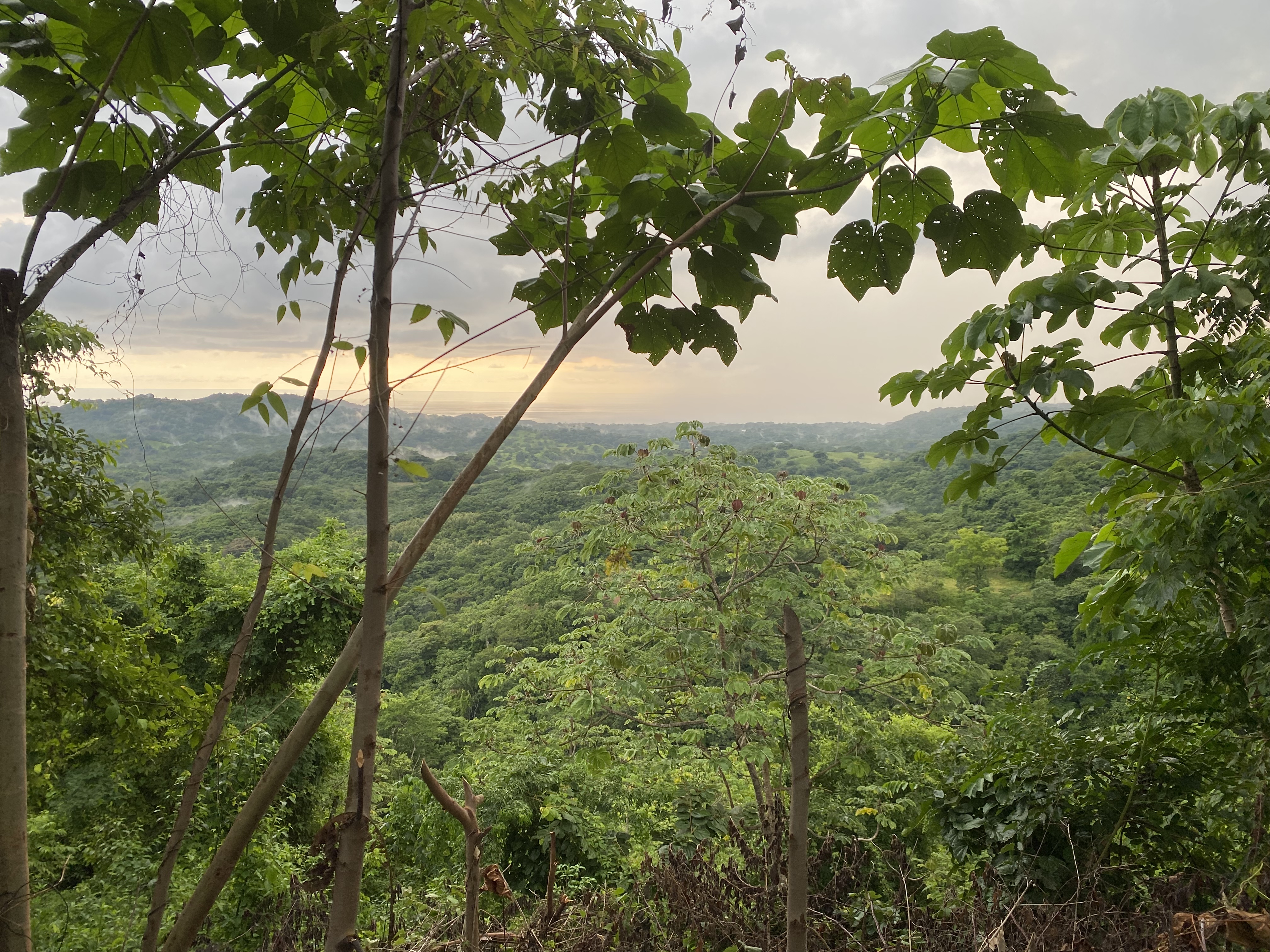 0 bed Land For Sale in Nosara, Guanacaste - thumb 1