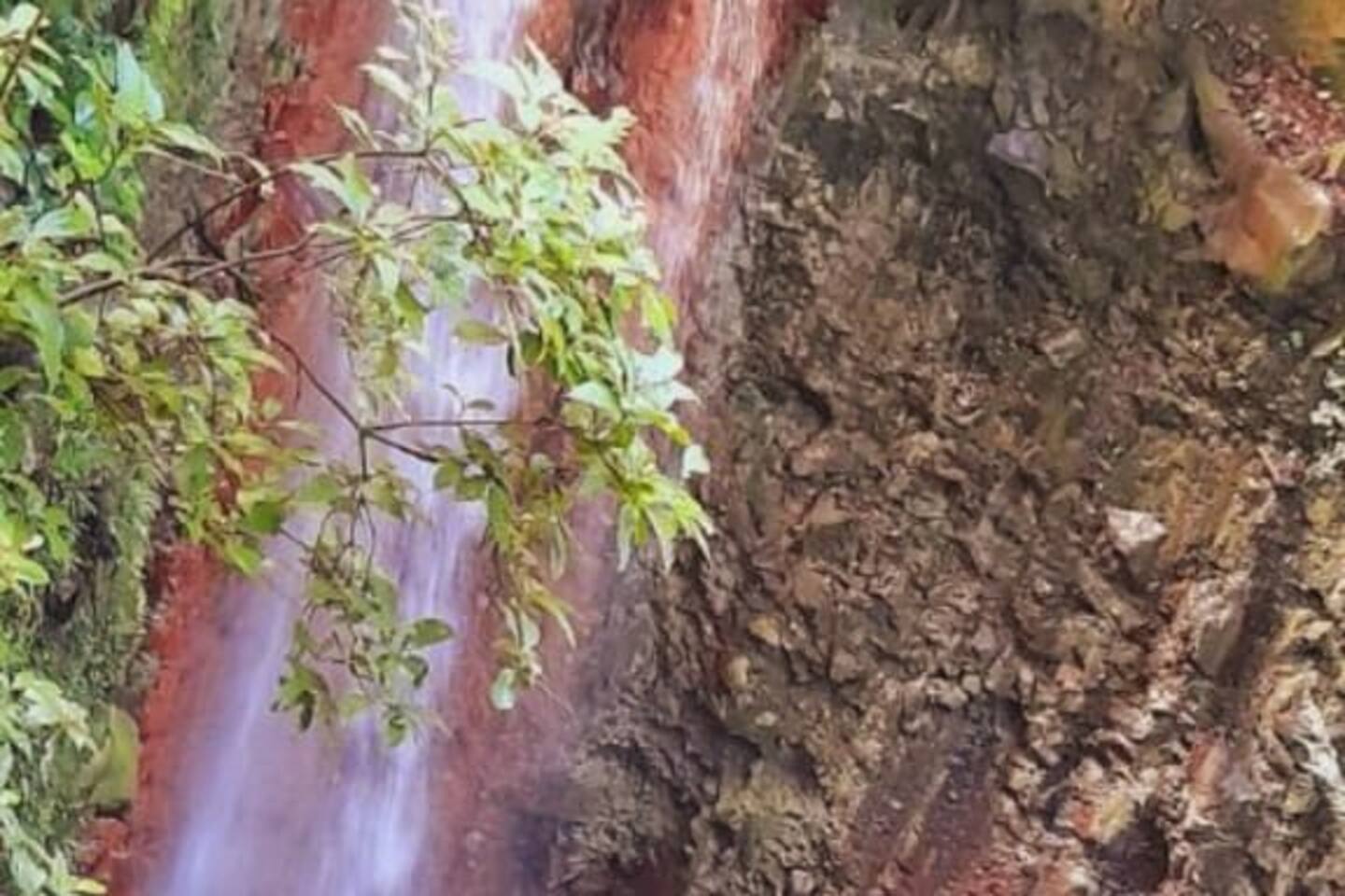 0 bed Land For Sale in Upala, Alajuela - thumb 20