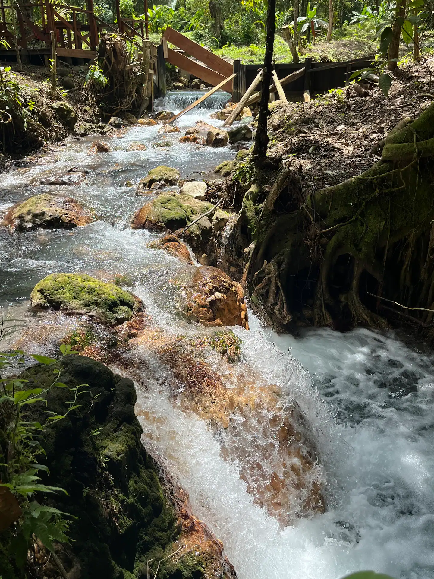 0 bed Land For Sale in Upala, Alajuela - thumb 23