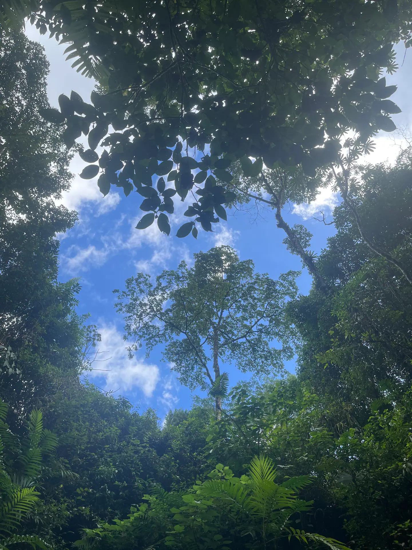 0 bed Land For Sale in Upala, Alajuela - thumb 7