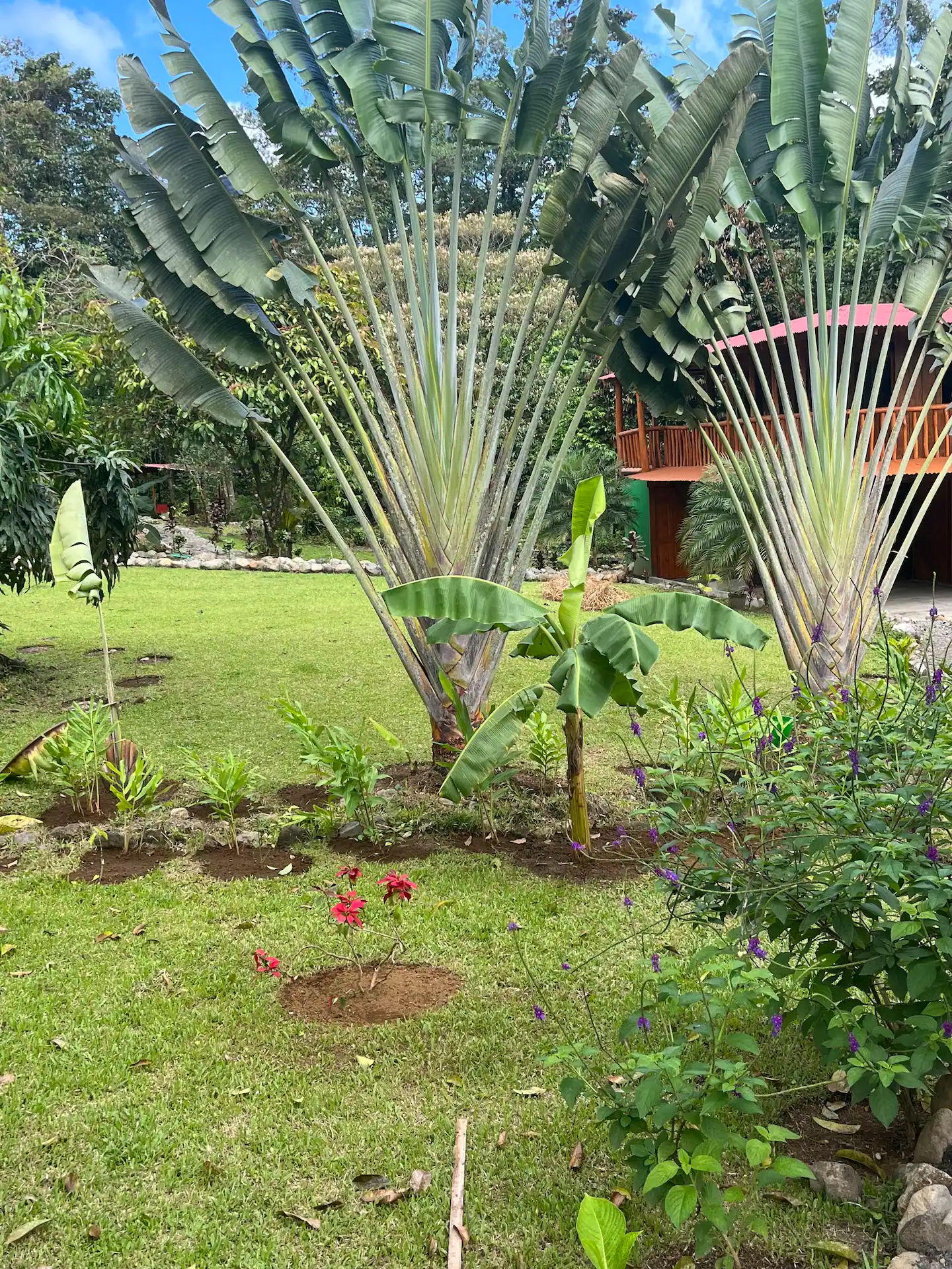 0 bed Land For Sale in Upala, Alajuela - thumb 3