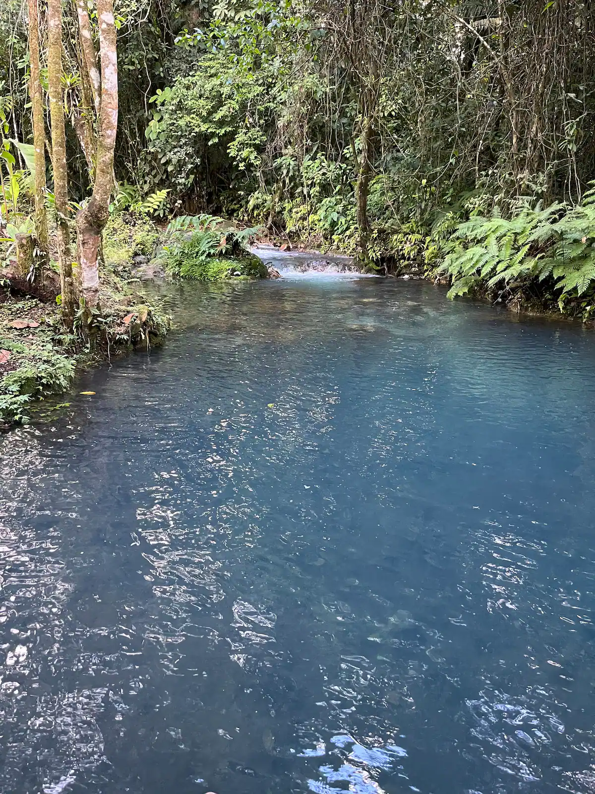 0 bed Land For Sale in Upala, Alajuela - thumb 6