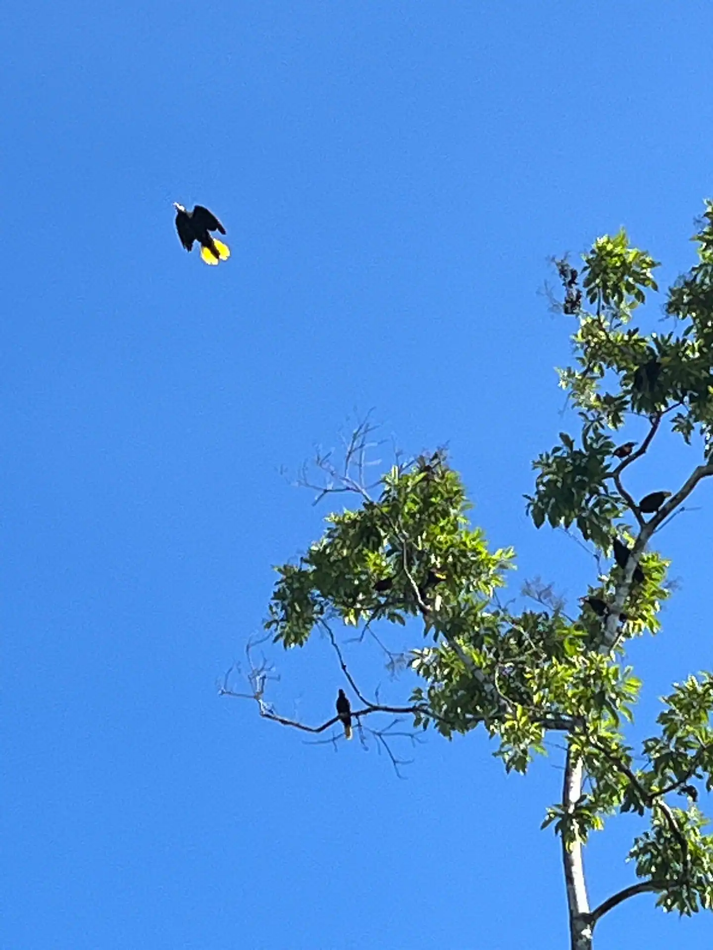 0 bed Land For Sale in Upala, Alajuela - thumb 19