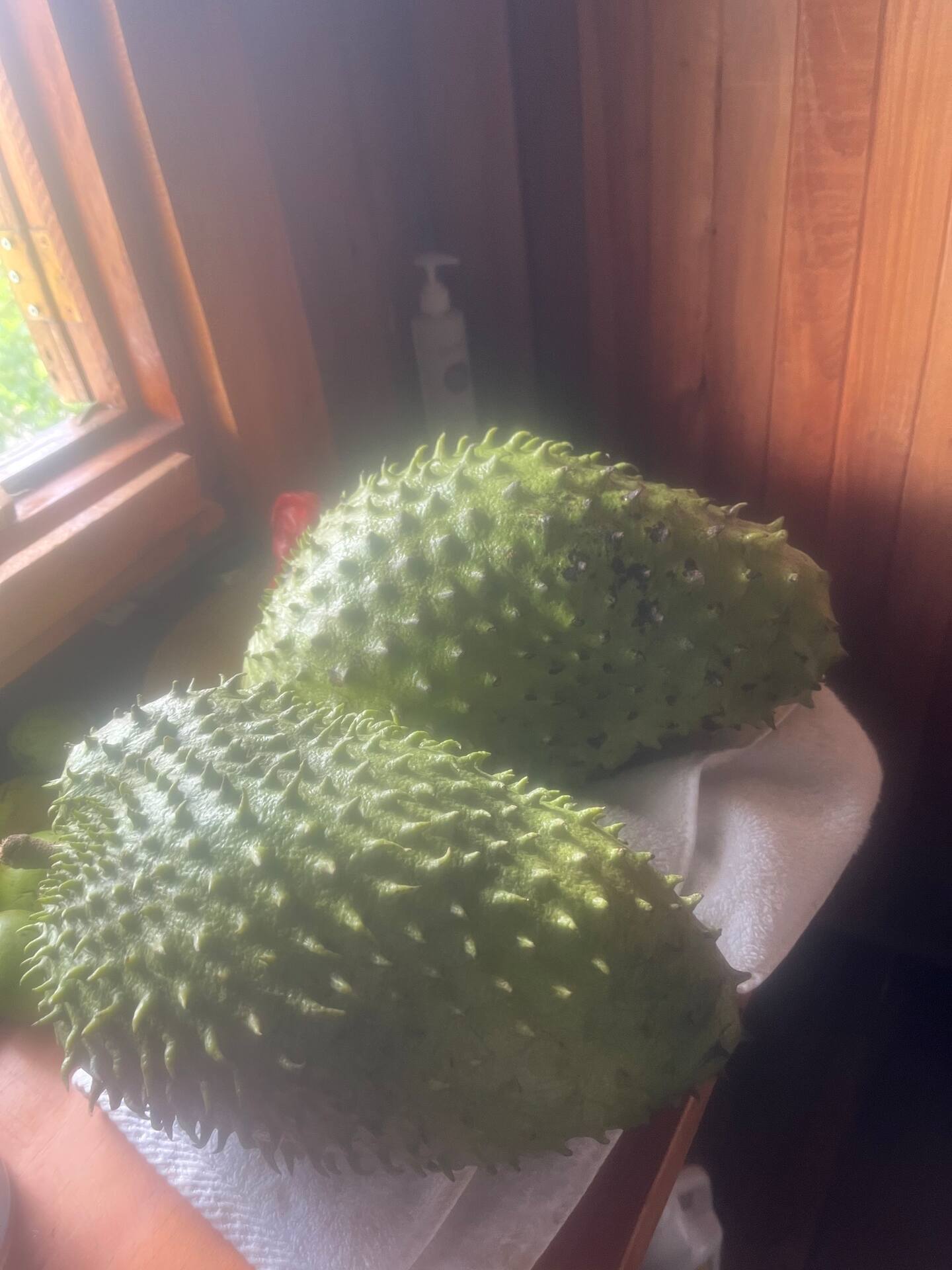 0 bed Land For Sale in Upala, Alajuela - thumb 18