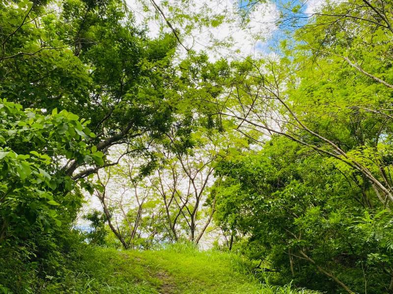 0 bed Land For Sale in Sardinal, Guanacaste - 1