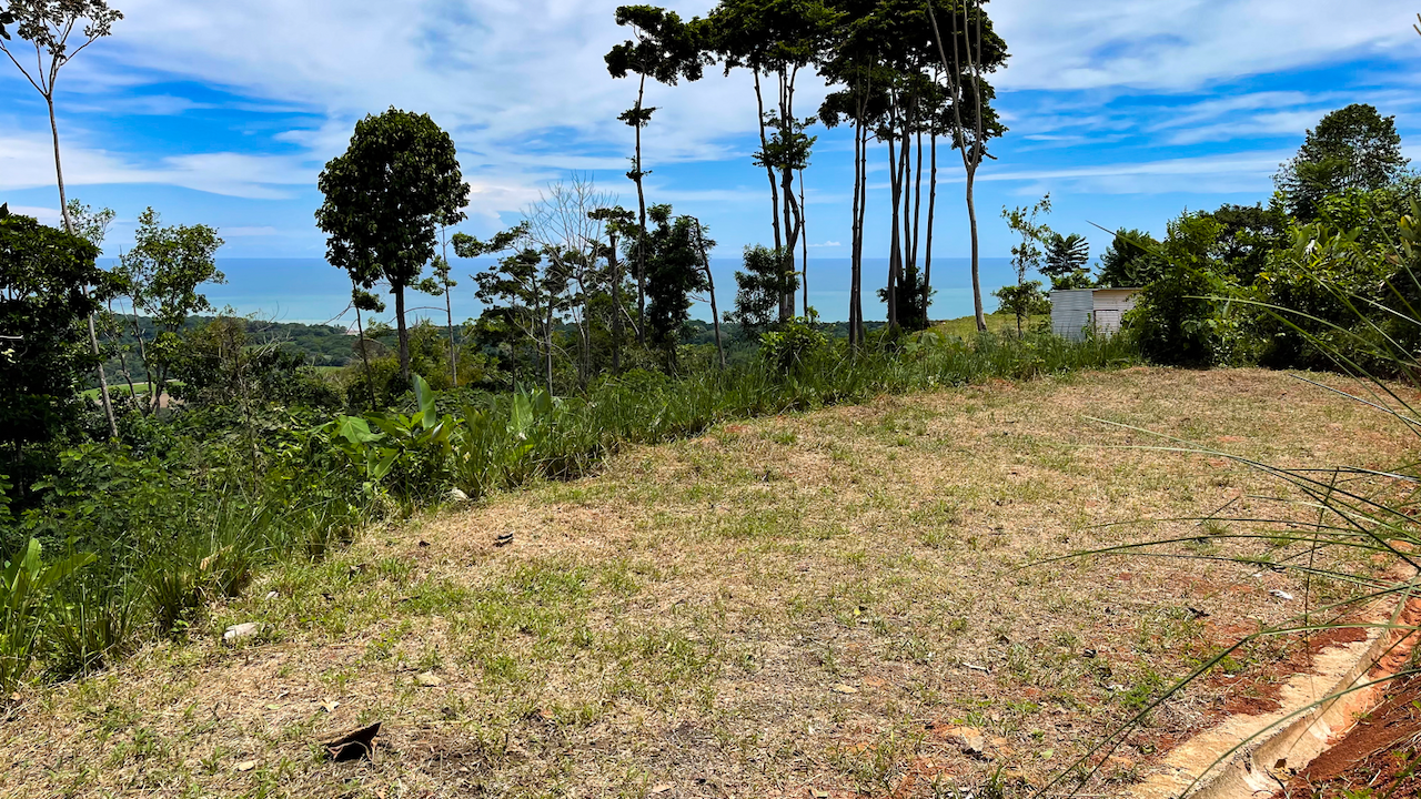0 bed Land For Sale in Uvita, Puntarenas - thumb 16