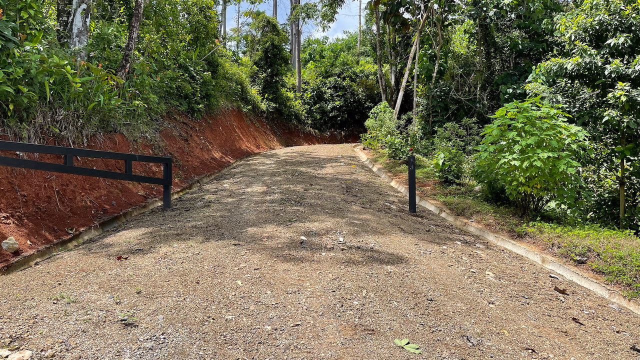 0 bed Land For Sale in Uvita, Puntarenas - thumb 20
