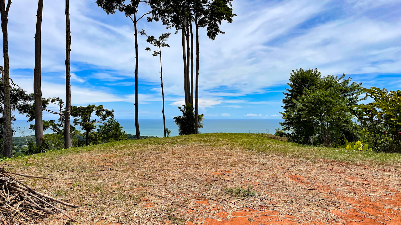 0 bed Land For Sale in Uvita, Puntarenas - thumb 9