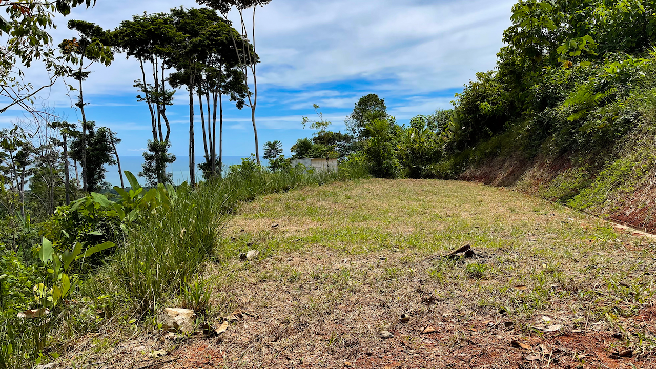 0 bed Land For Sale in Uvita, Puntarenas - thumb 17