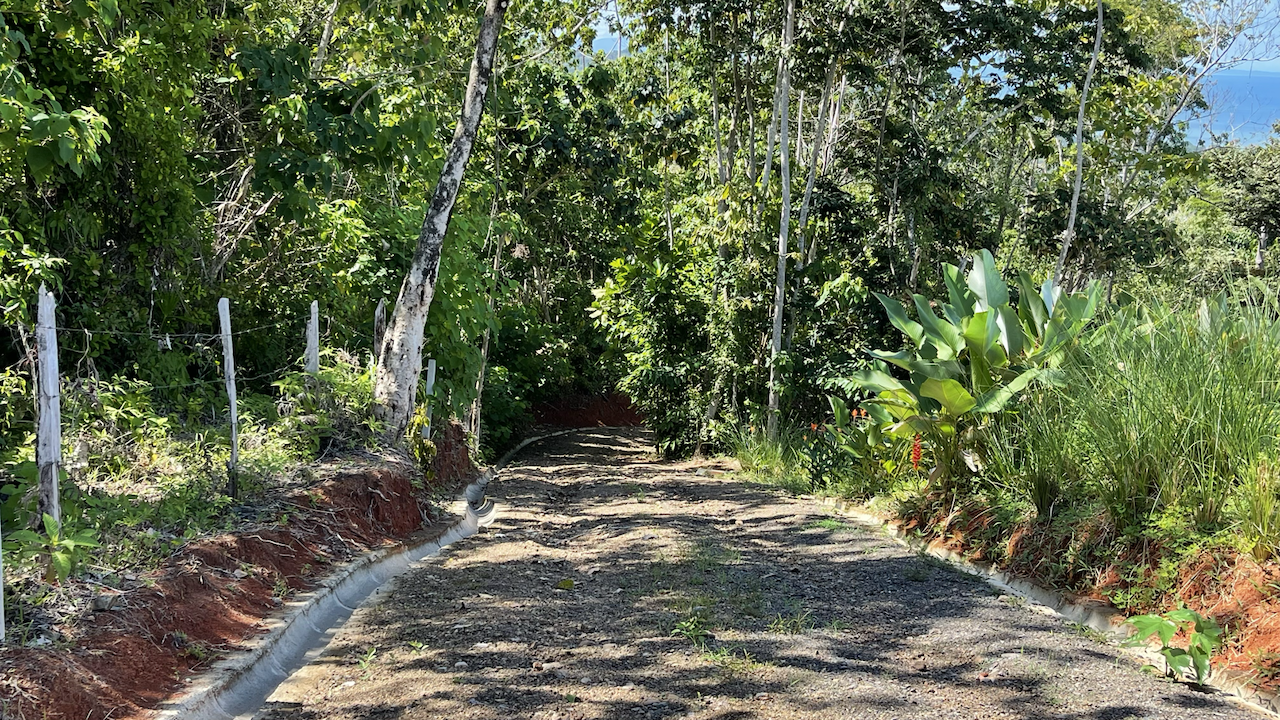0 bed Land For Sale in Uvita, Puntarenas - thumb 19