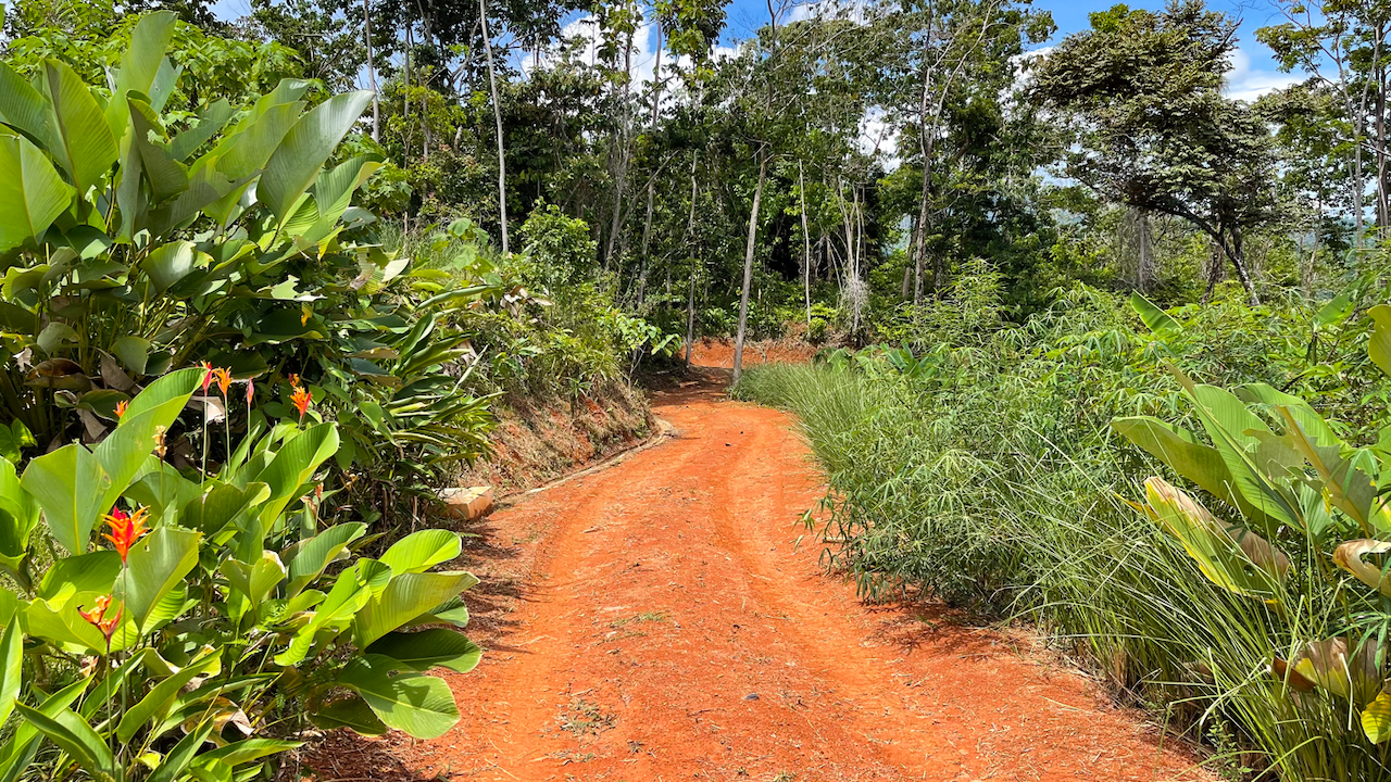 0 bed Land For Sale in Uvita, Puntarenas - thumb 13