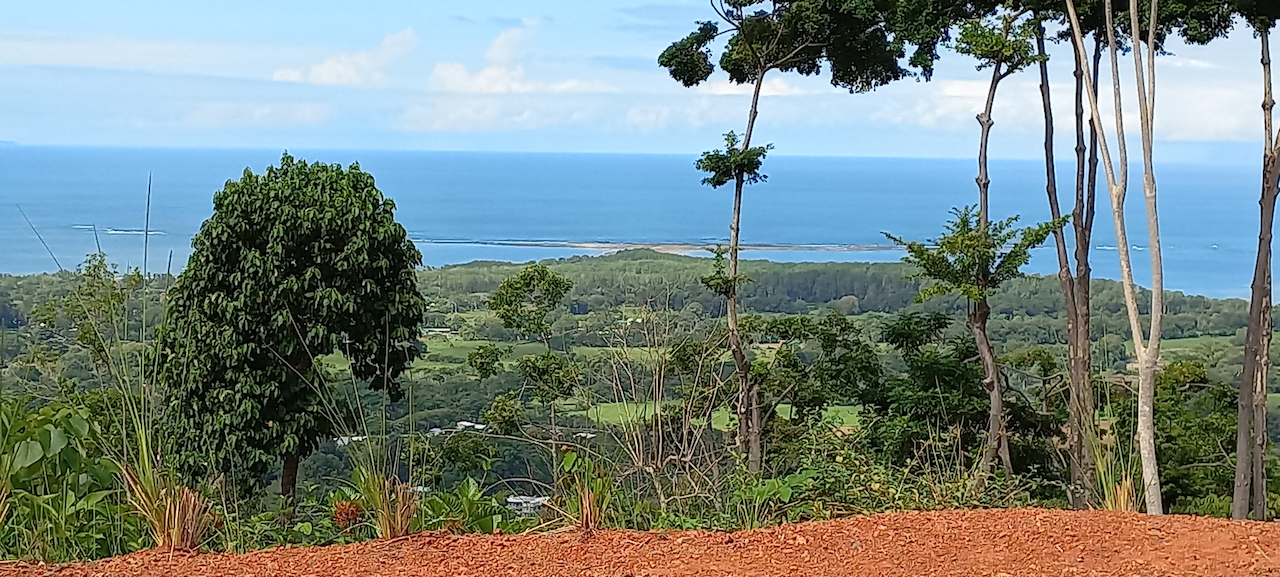 0 bed Land For Sale in Uvita, Puntarenas - thumb 5