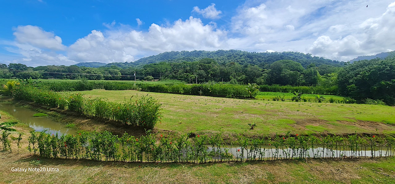 0 bed Land For Sale in Dominical, Puntarenas - thumb 4