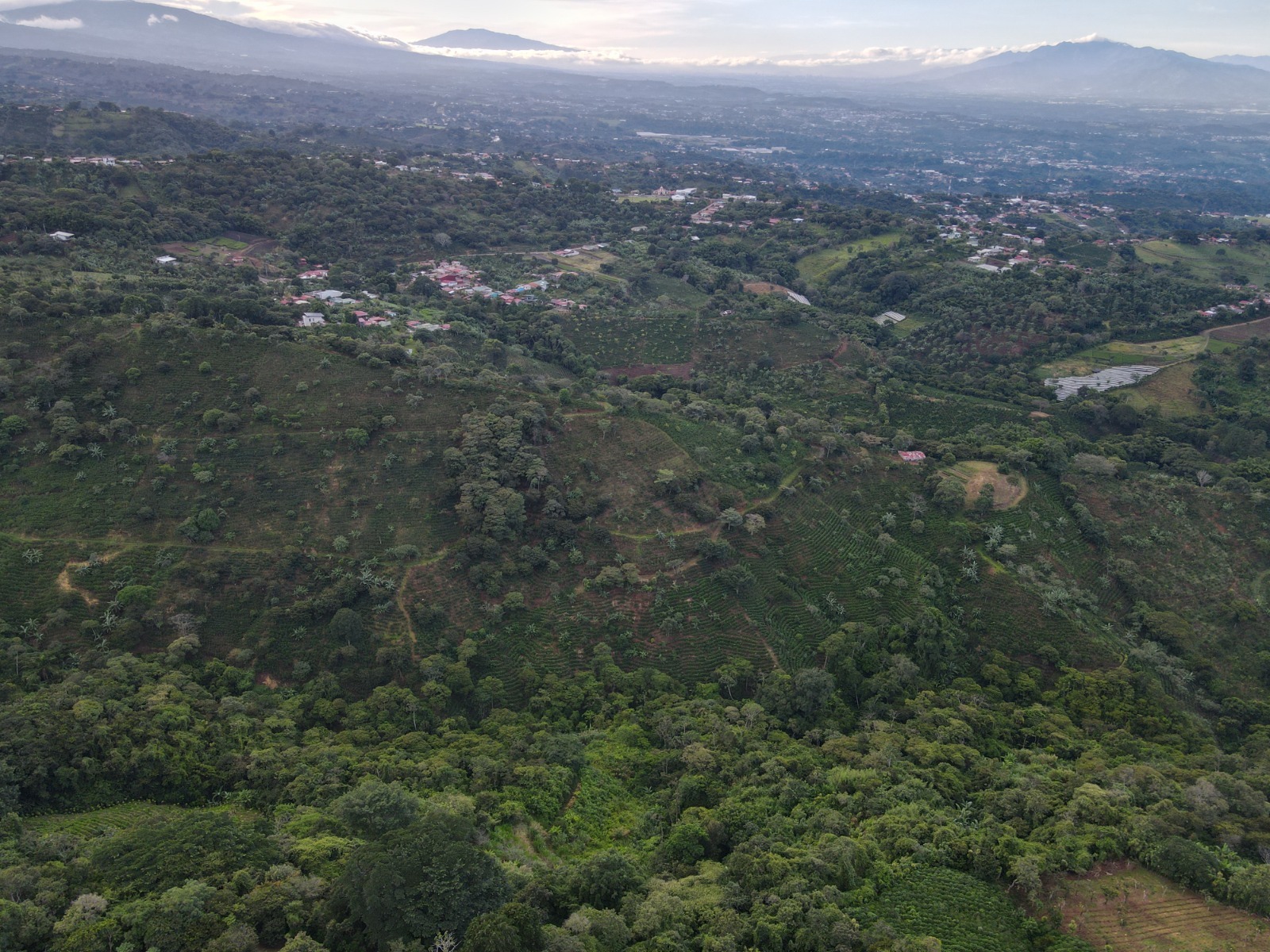 2 bed Single Family Homes For Sale in Naranjo, Alajuela - thumb 28