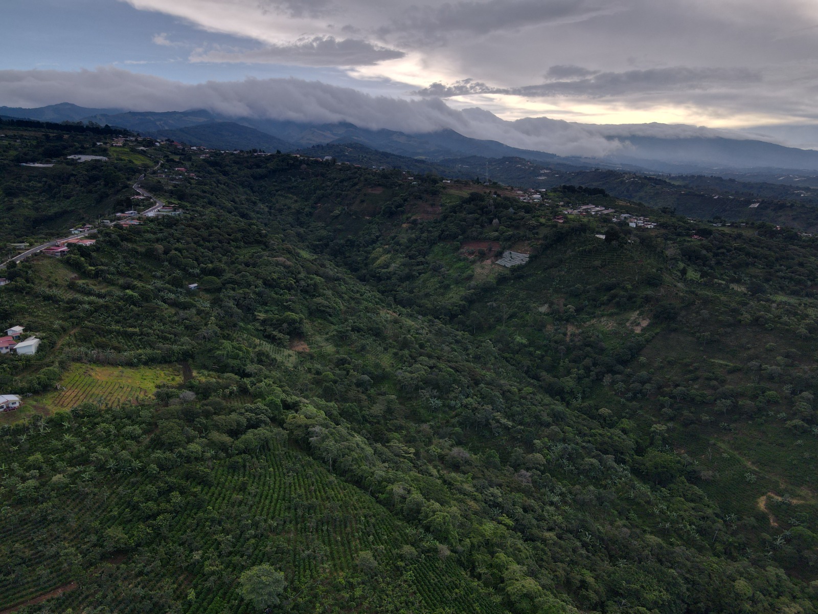 2 bed Single Family Homes For Sale in Naranjo, Alajuela - thumb 29