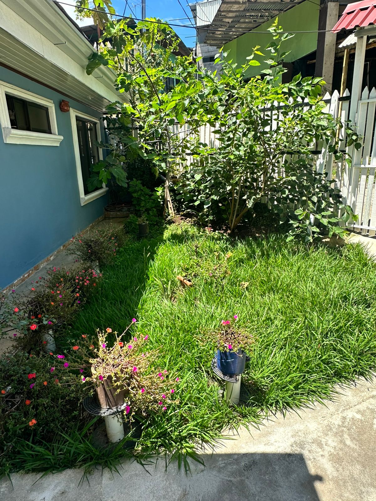 3 bed Single Family Homes For Sale in Atenas, Alajuela - thumb 16