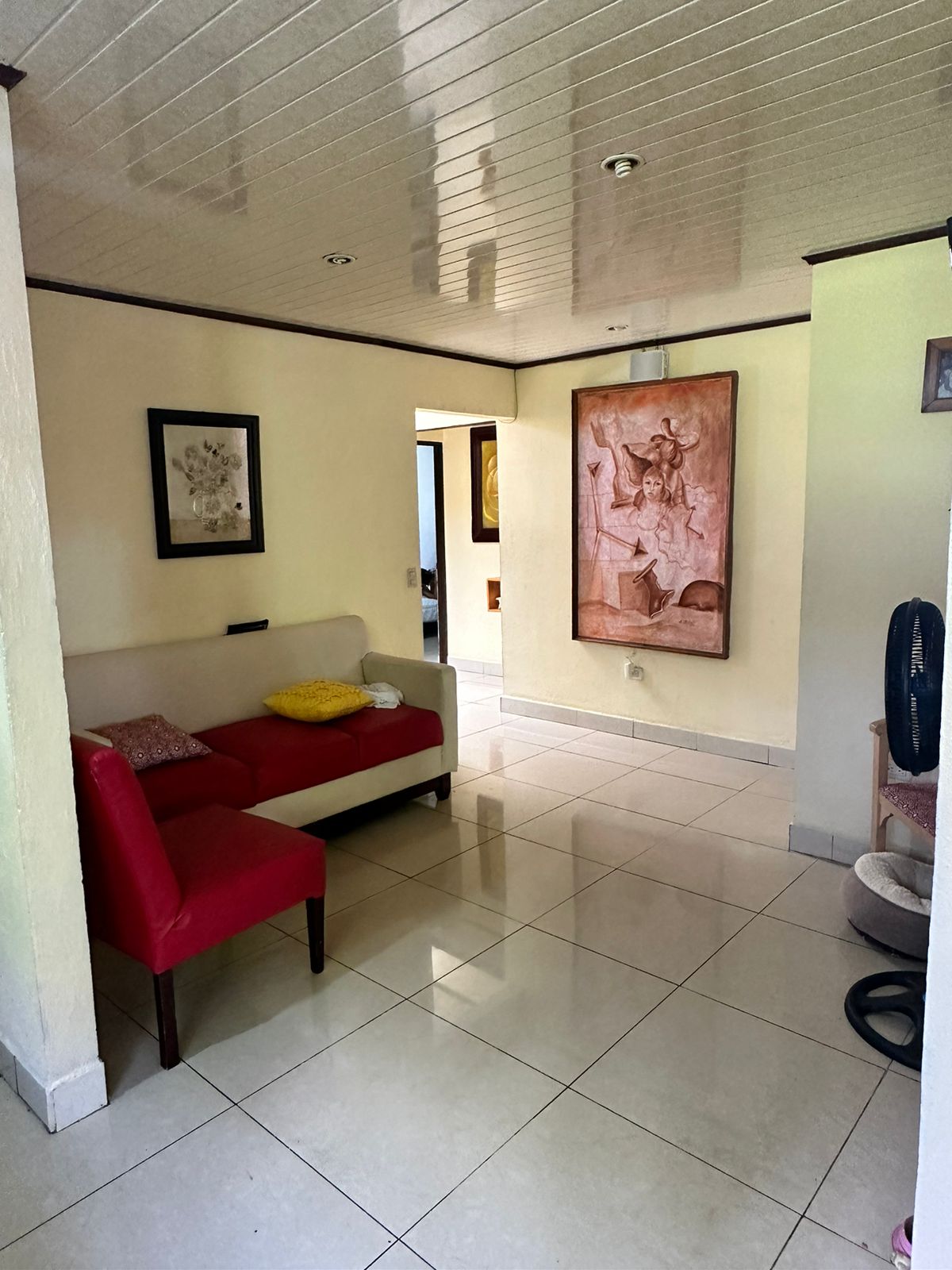 3 bed Single Family Homes For Sale in Atenas, Alajuela - thumb 4