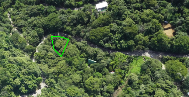 0 bed Land For Sale in Nosara, Guanacaste - thumb 2