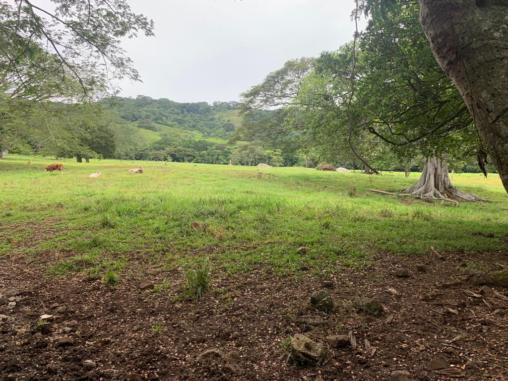 0 bed Land For Sale in Atenas, Alajuela - thumb 3