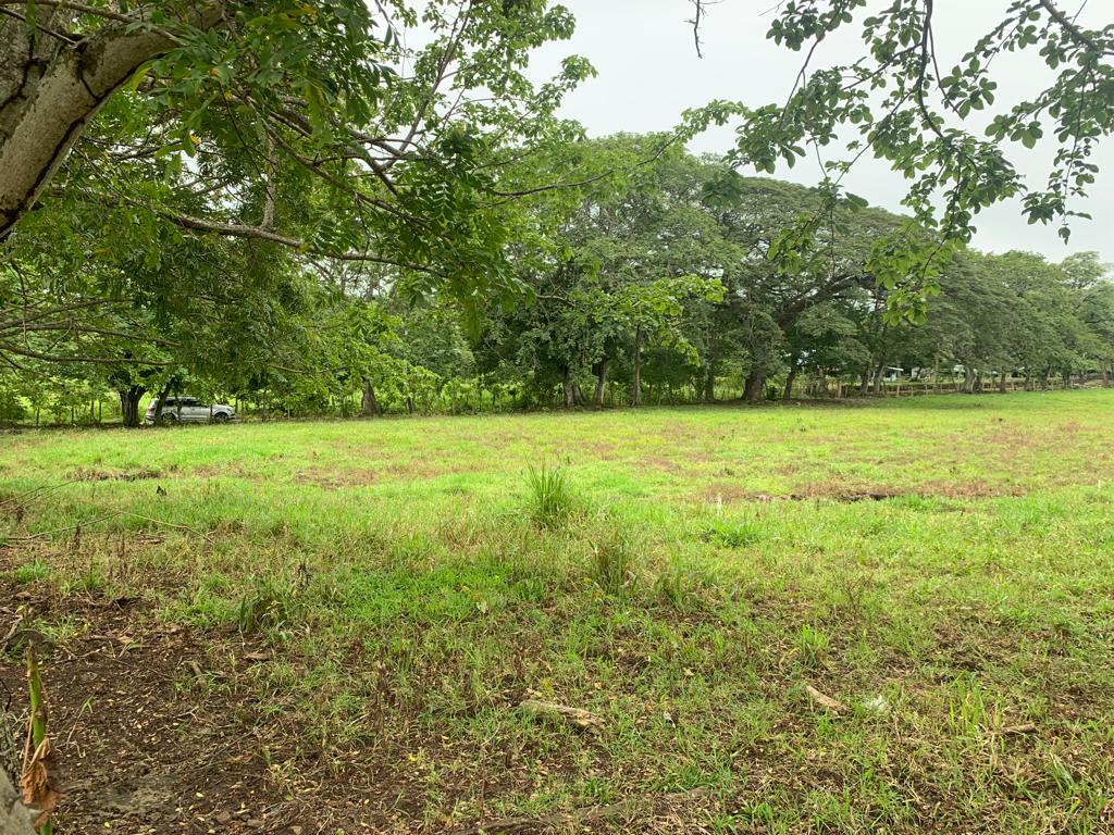 0 bed Land For Sale in Atenas, Alajuela - thumb 4