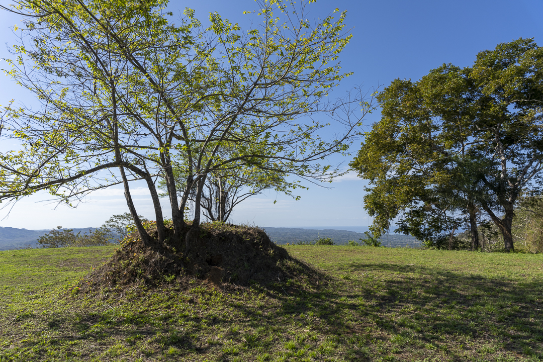 0 bed Land For Sale in Samara, Guanacaste - thumb 9