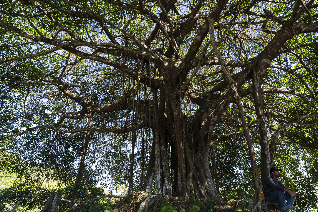 0 bed Land For Sale in Samara, Guanacaste - thumb 20