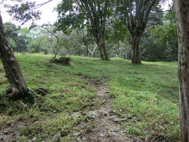 0 bed Land For Sale in Santa Ana, San Jose - thumb 5