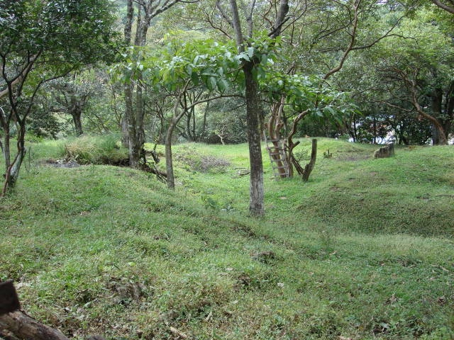 0 bed Land For Sale in Santa Ana, San Jose - thumb 4