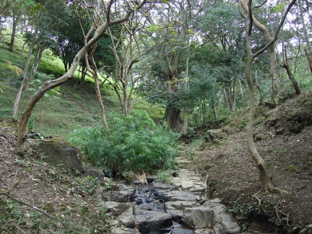 0 bed Land For Sale in Santa Ana, San Jose - thumb 2