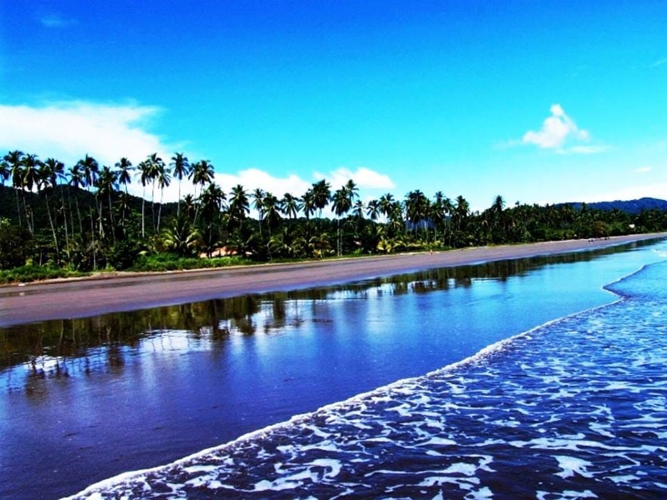 4 bed Single Family Homes For Sale in Tambor, Puntarenas - thumb 23