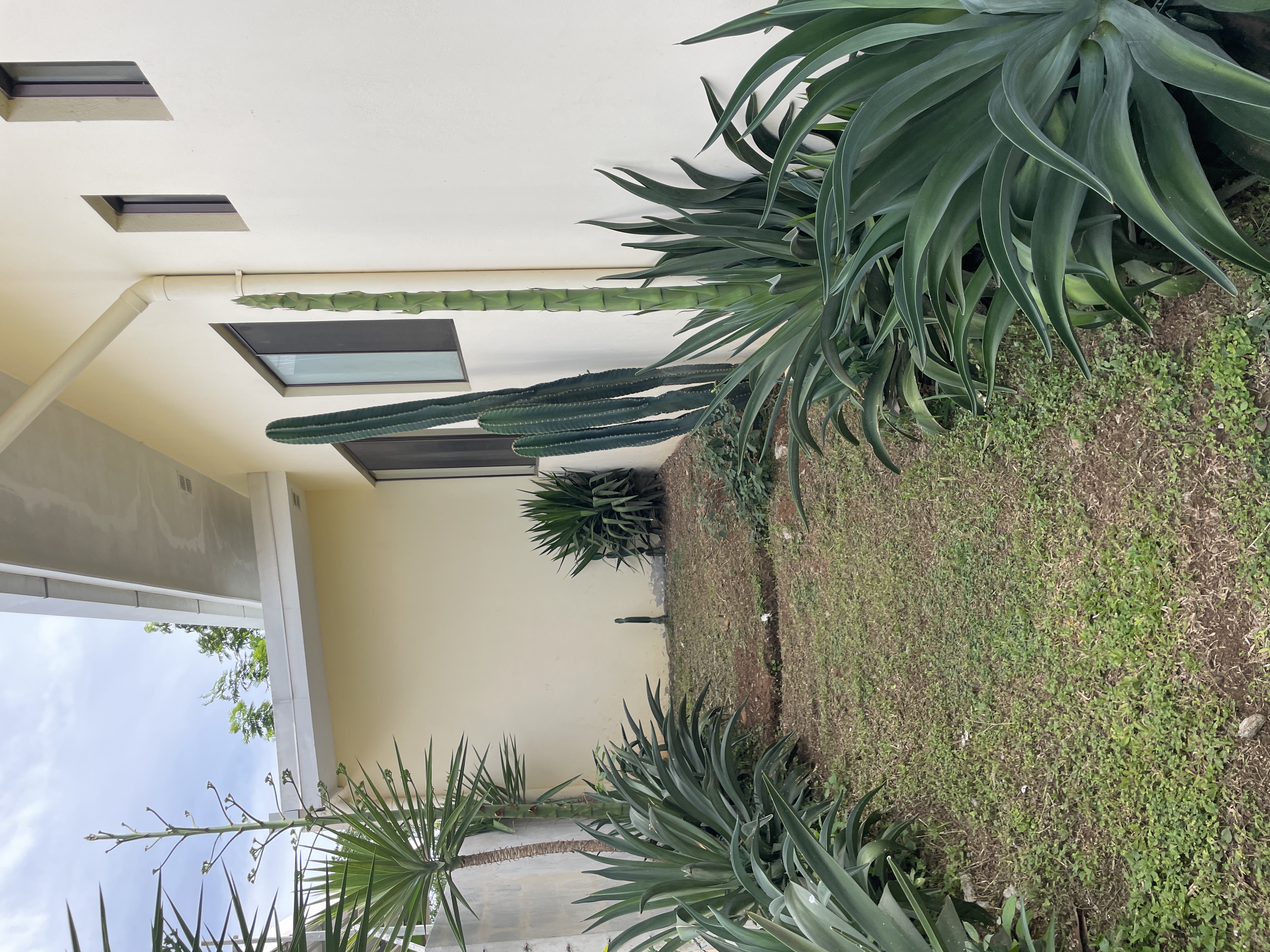 3 bed Single Family Homes For Sale in Atenas, Alajuela - thumb 8