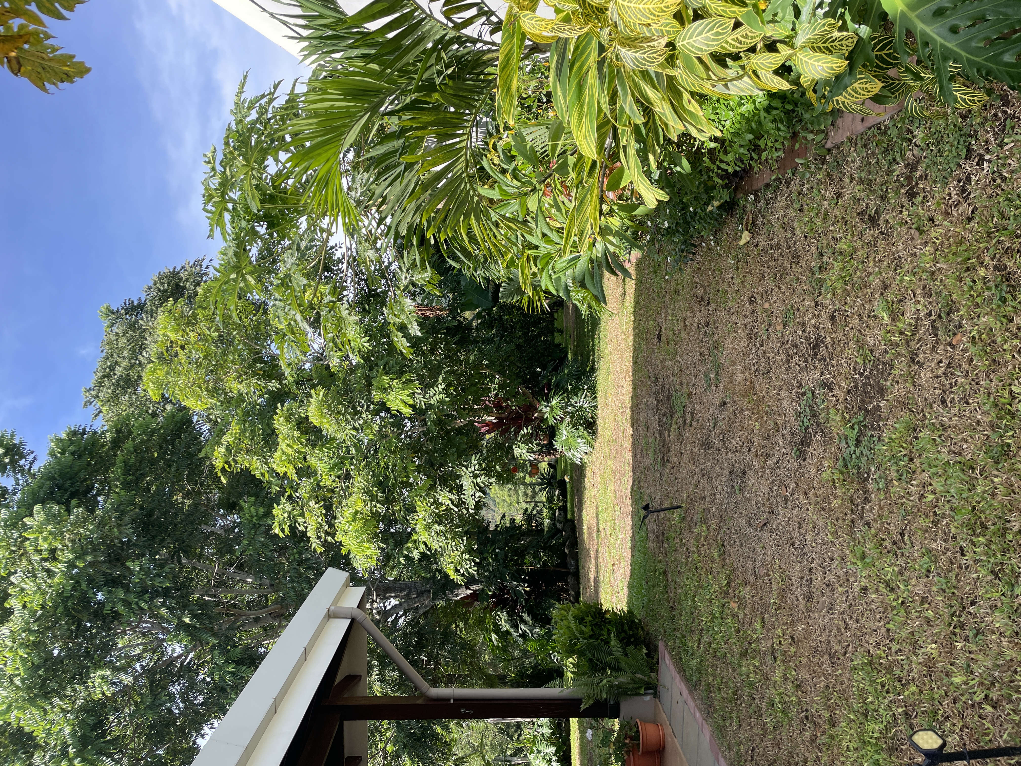 3 bed Single Family Homes For Sale in Atenas, Alajuela - thumb 26