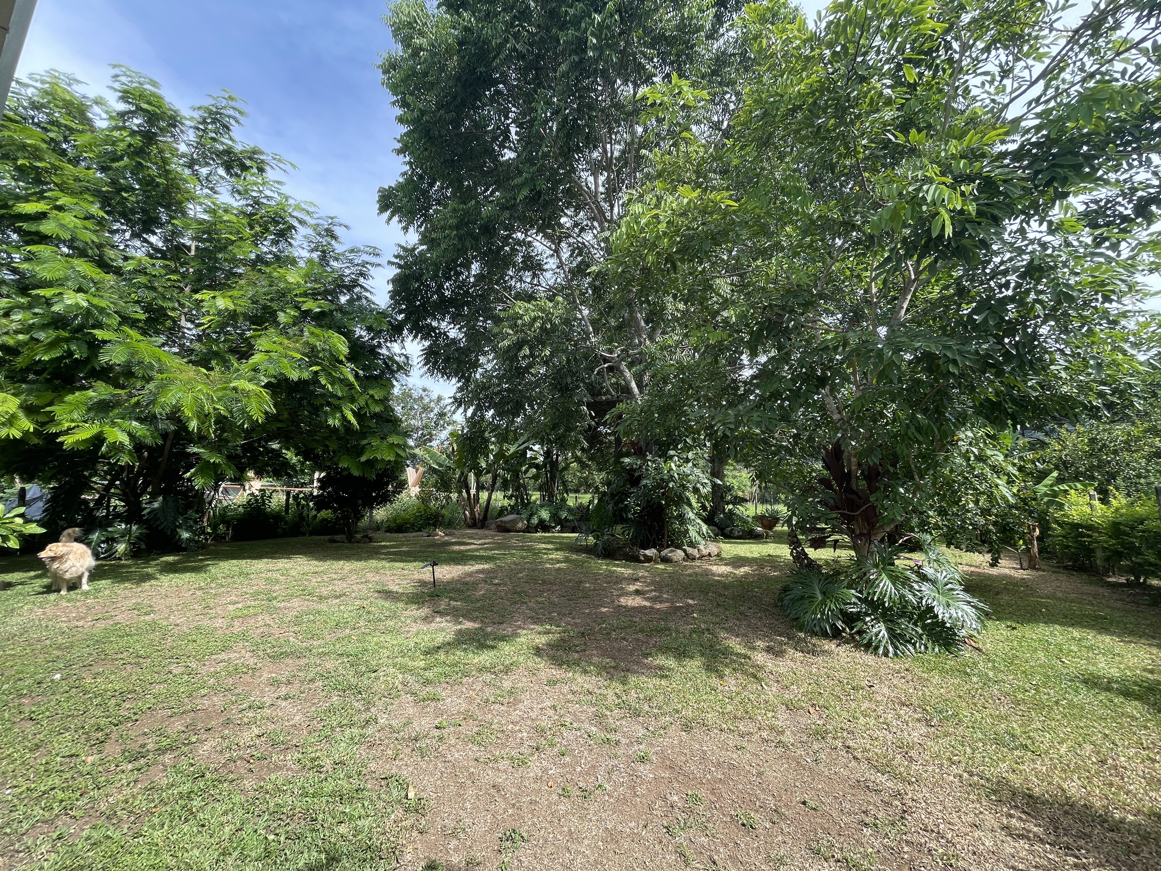 3 bed Single Family Homes For Sale in Atenas, Alajuela - thumb 23