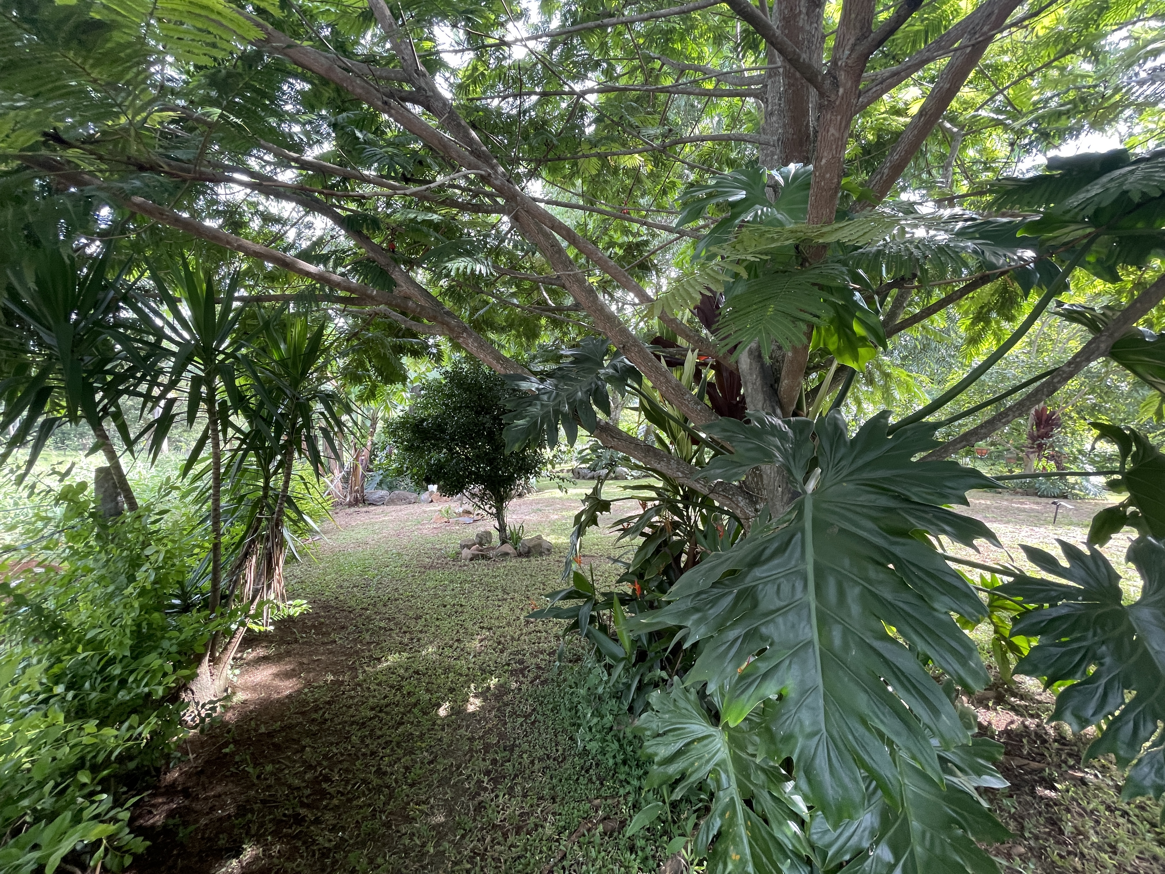 3 bed Single Family Homes For Sale in Atenas, Alajuela - thumb 22