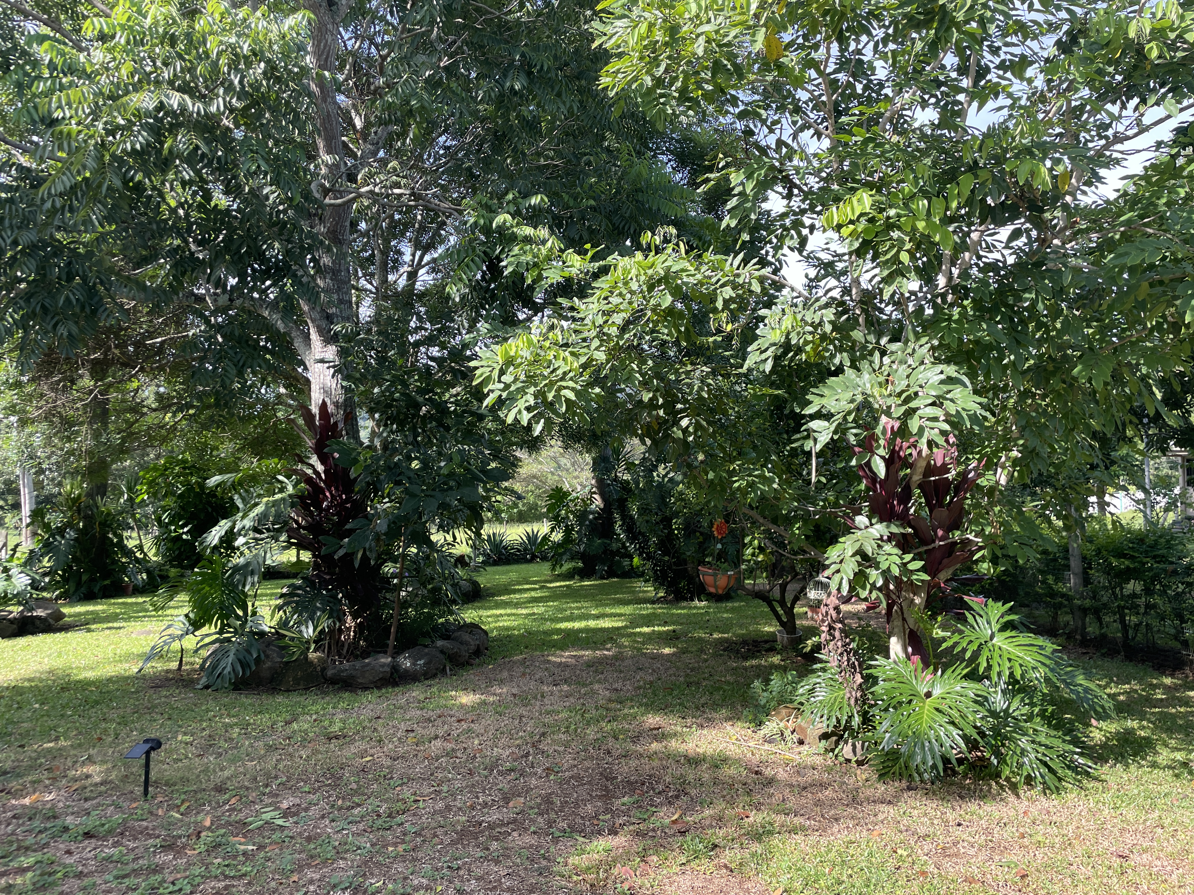 3 bed Single Family Homes For Sale in Atenas, Alajuela - thumb 28