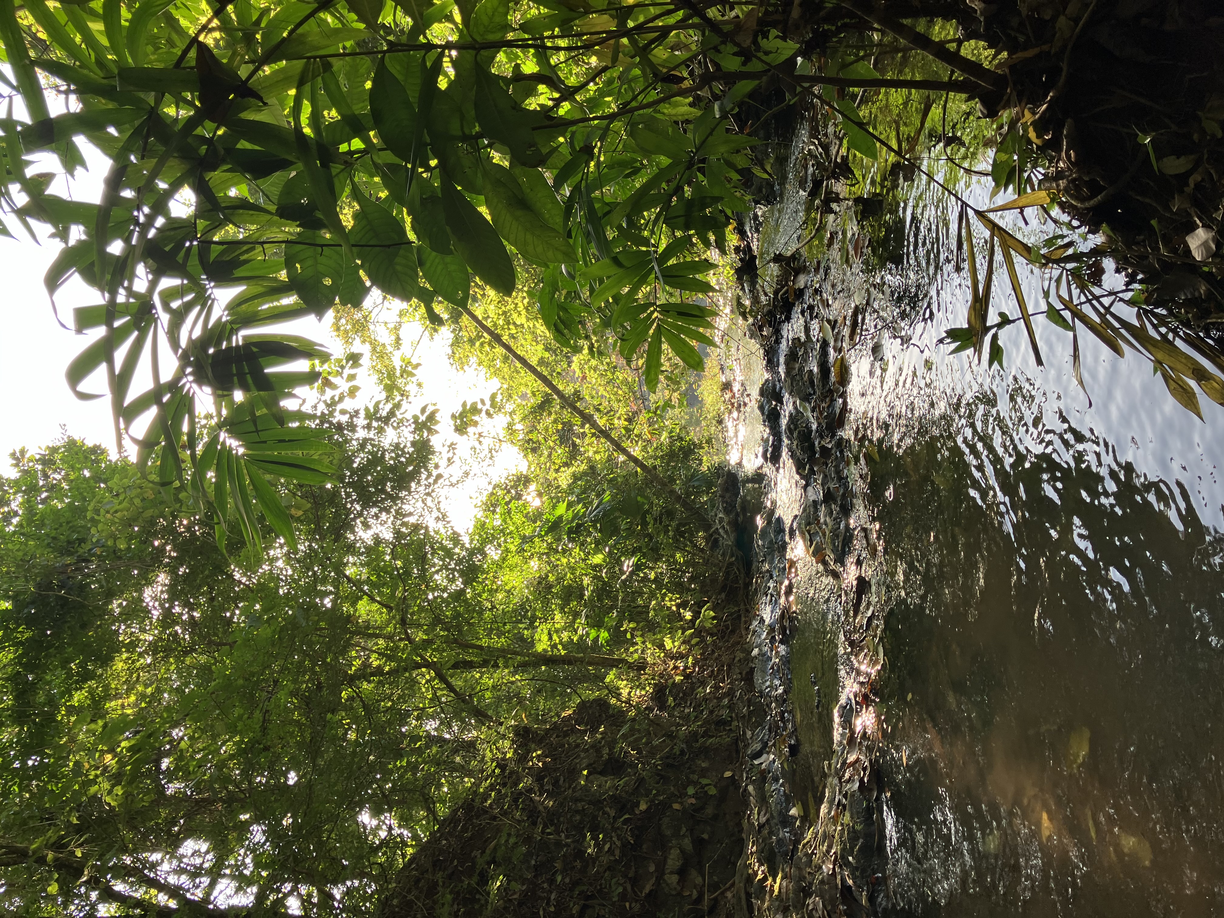 0 bed Land For Sale in Cobano, Puntarenas - thumb 7