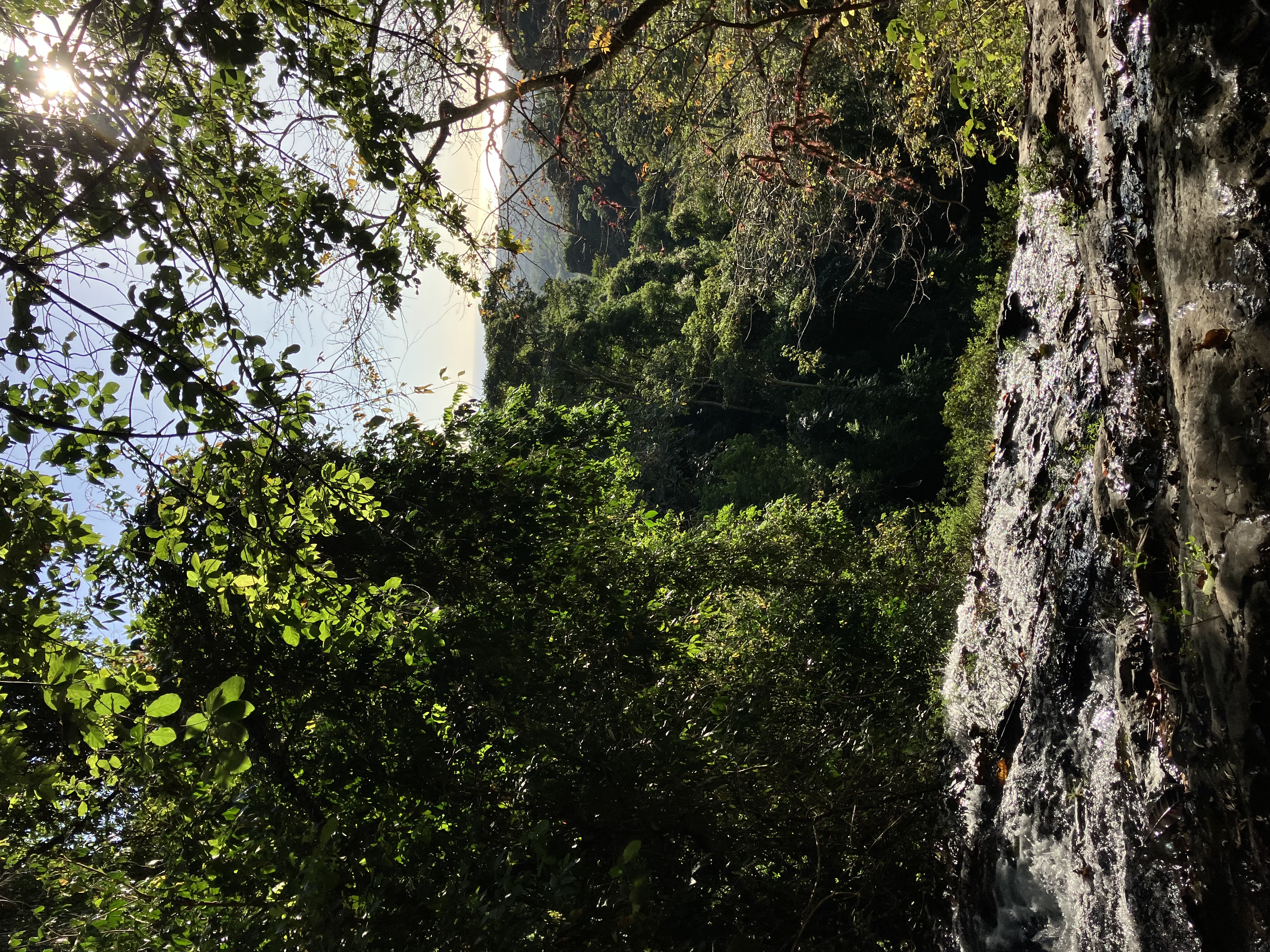 0 bed Land For Sale in Cobano, Puntarenas - thumb 4